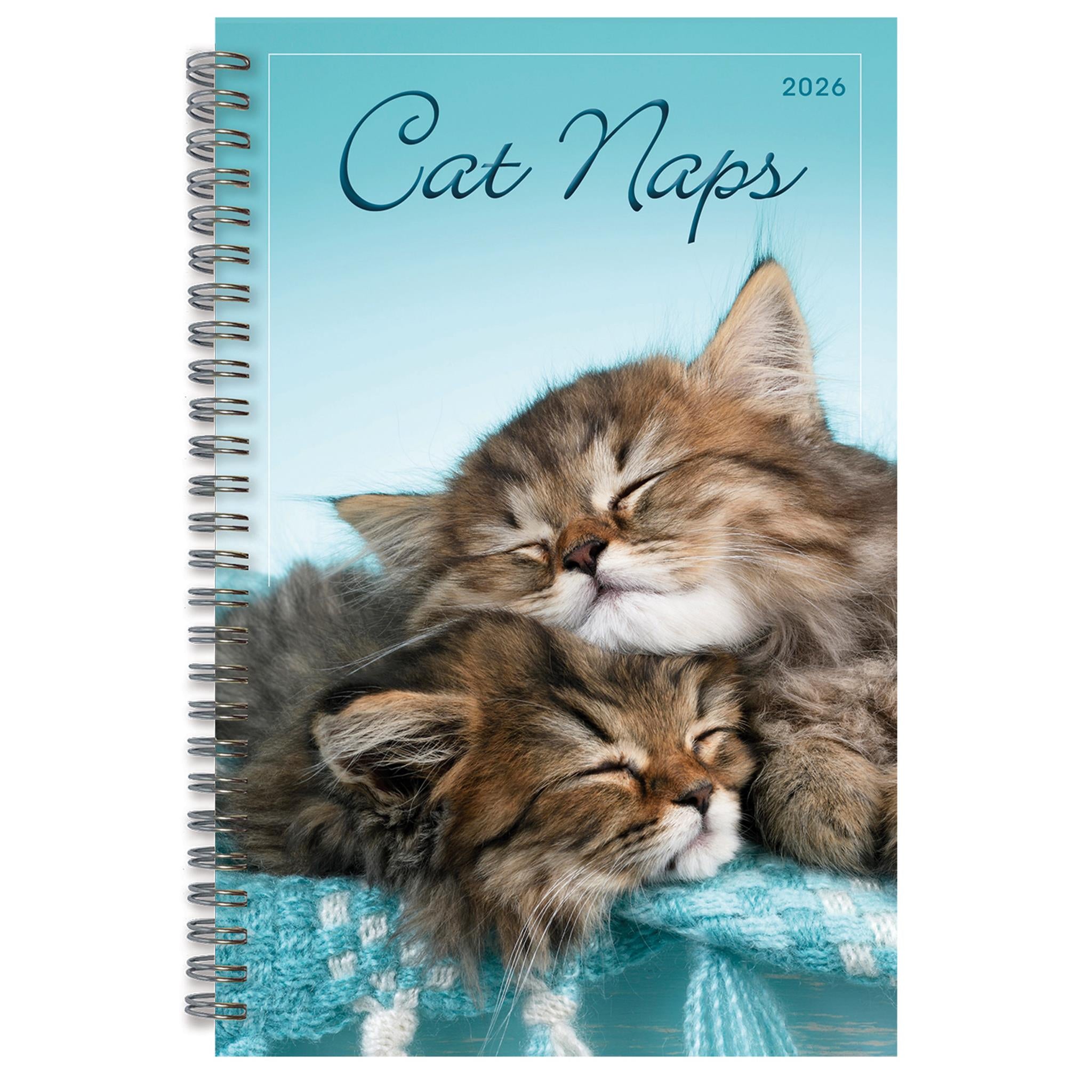 Calendrier des fiançailles Cat Naps 2025-2026