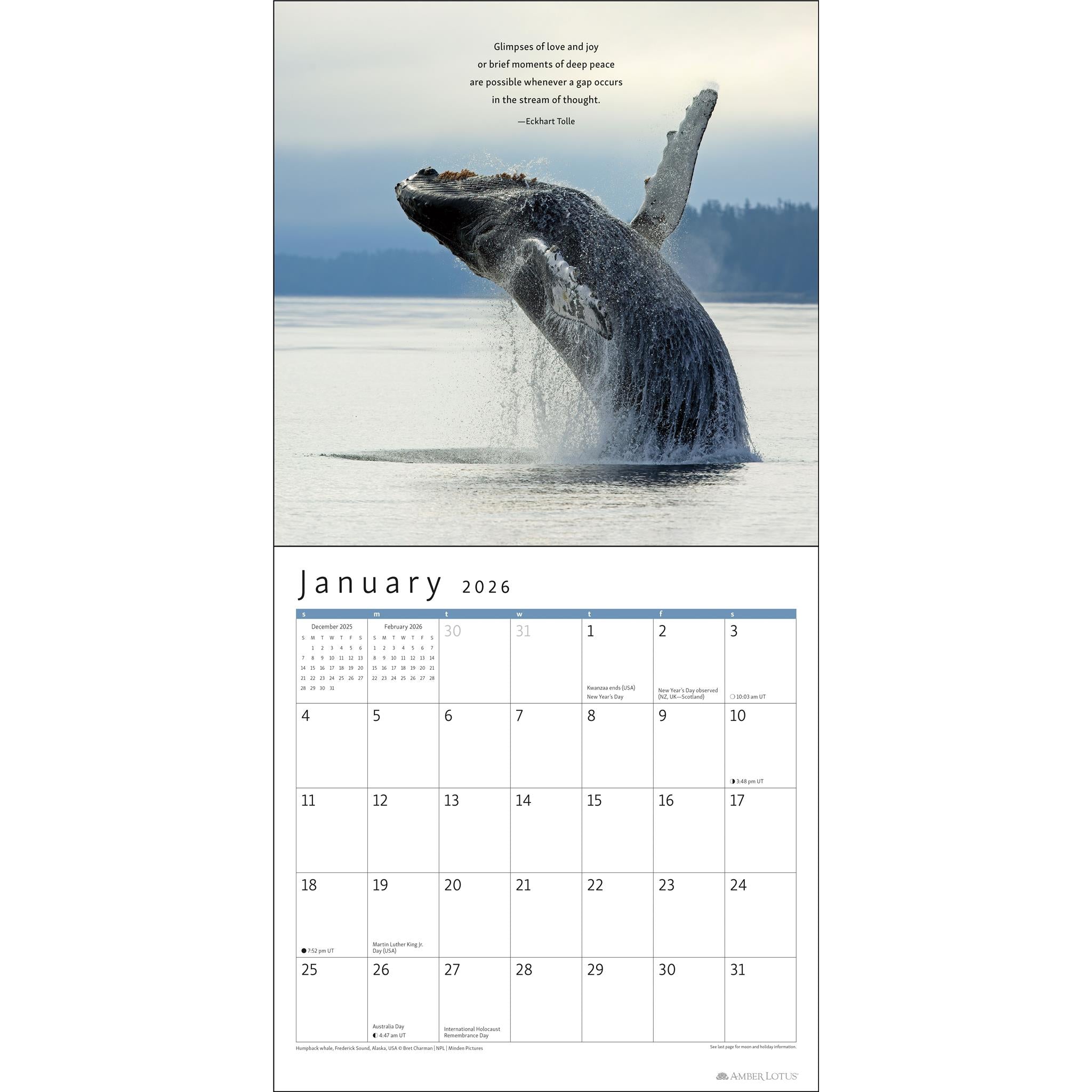 Power Of Now 2026 Wall Calendar - Online Only