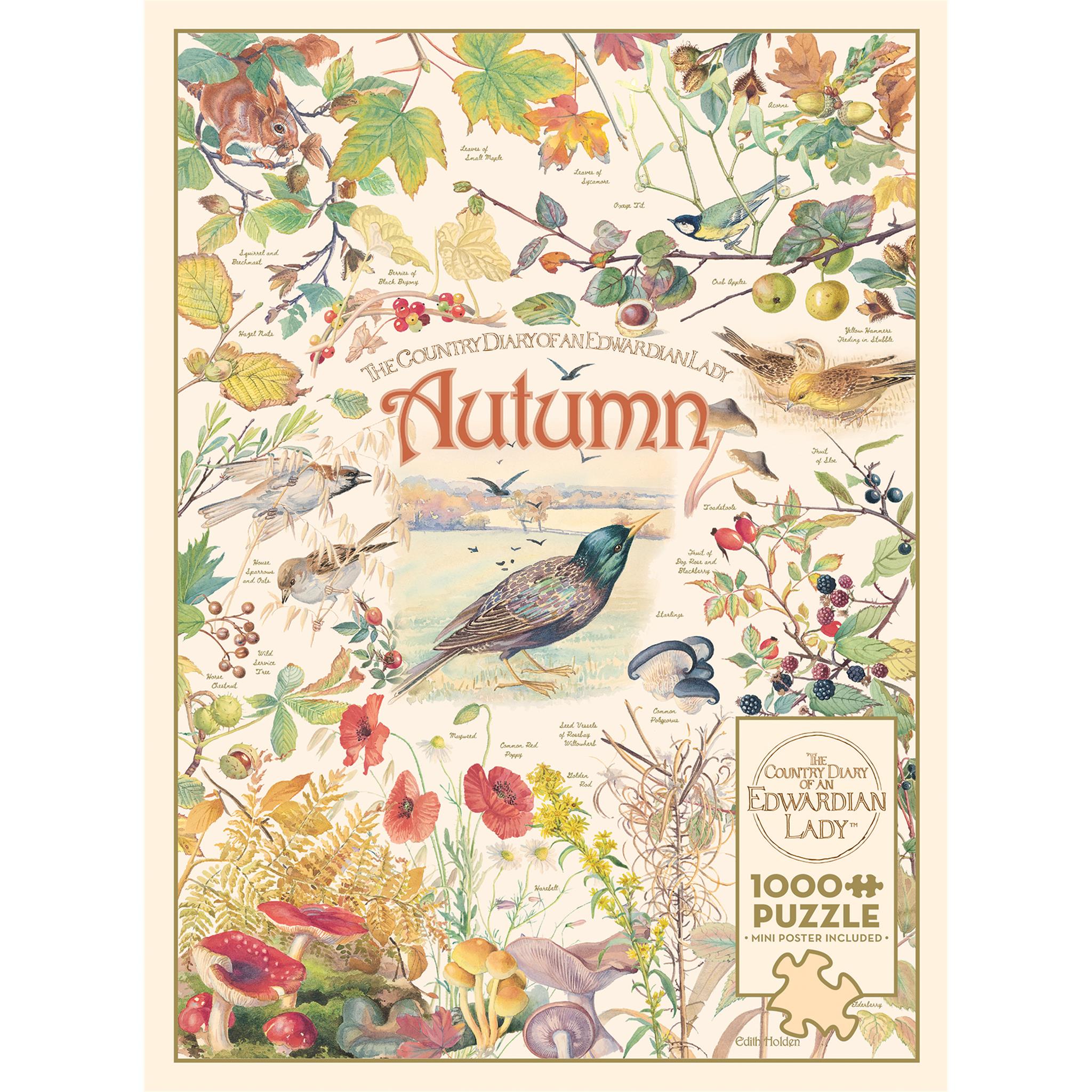 Country Diary: Autumn 1000 Piece Puzzle Cobble Hill