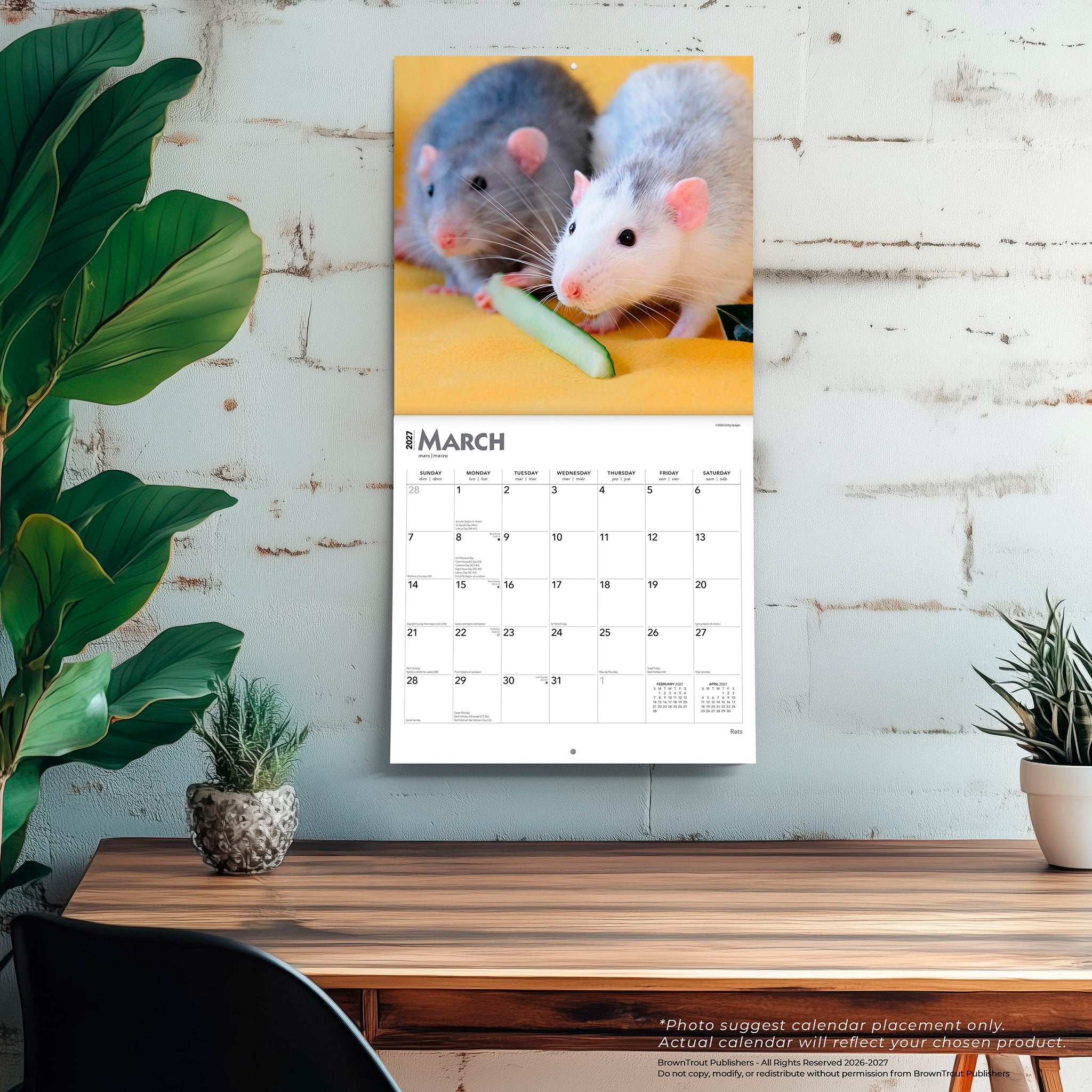 Rats 2027 Wall Calendar