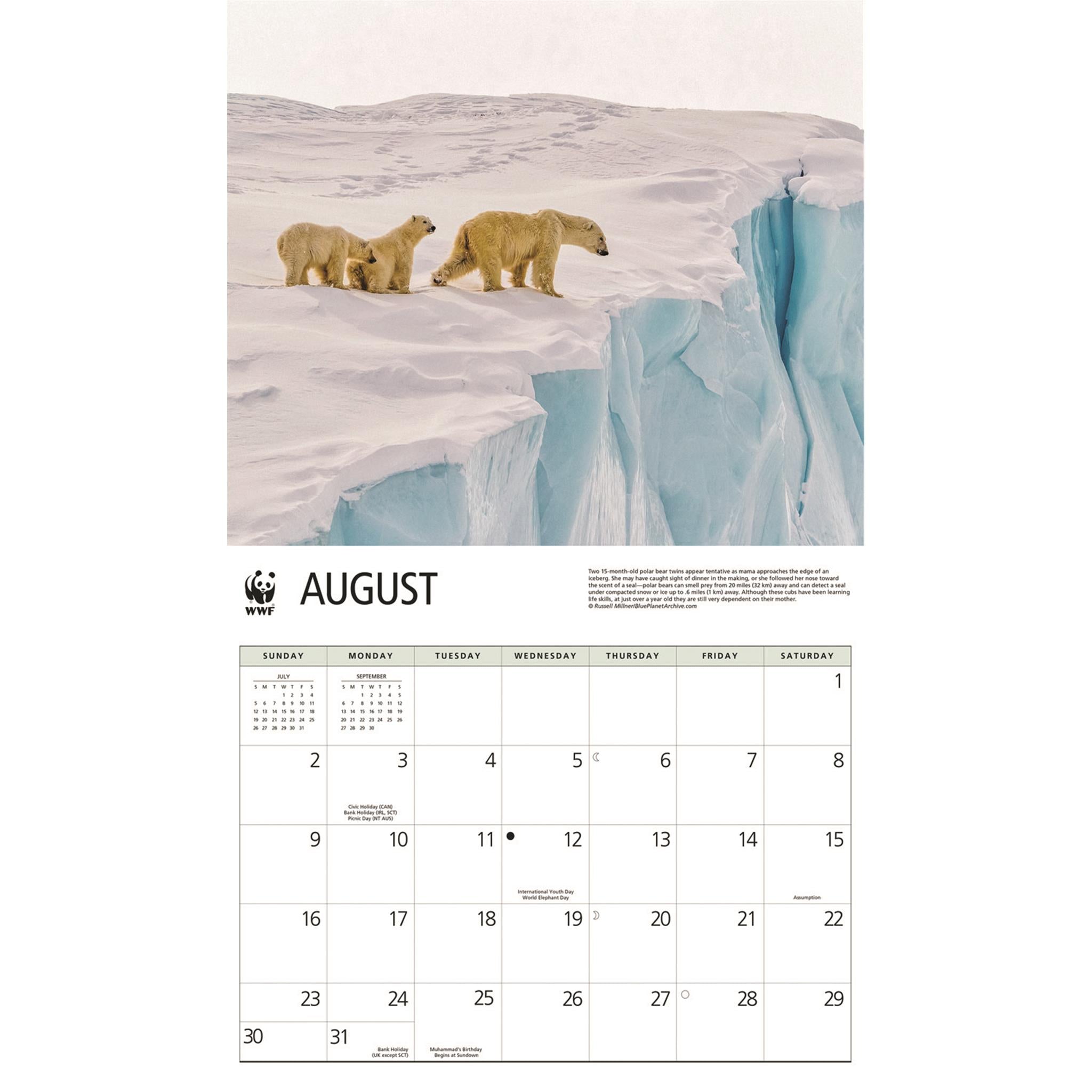 World Wildlife Fund Polar Bears 2026 Wall Calendar