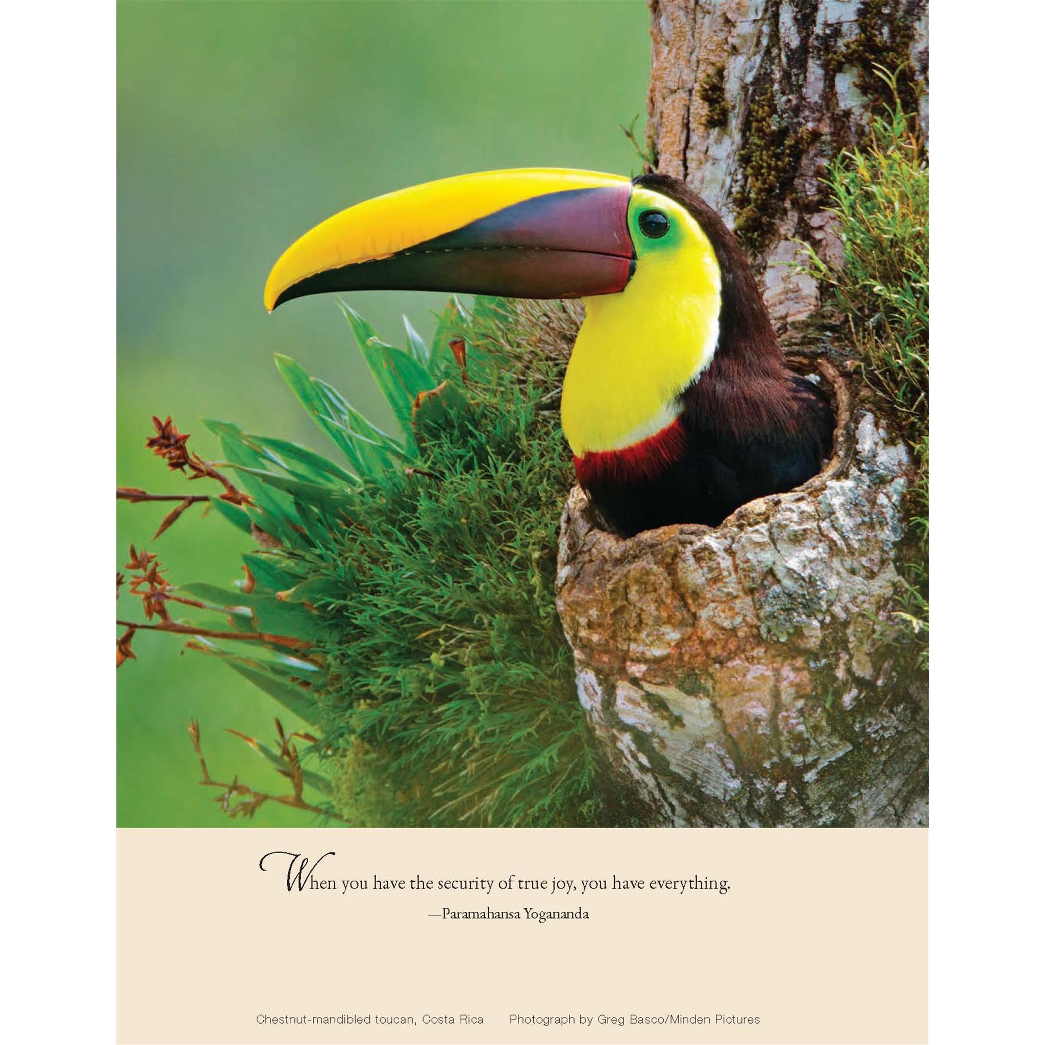 Inner Reflections 2026 Engagement Calendar