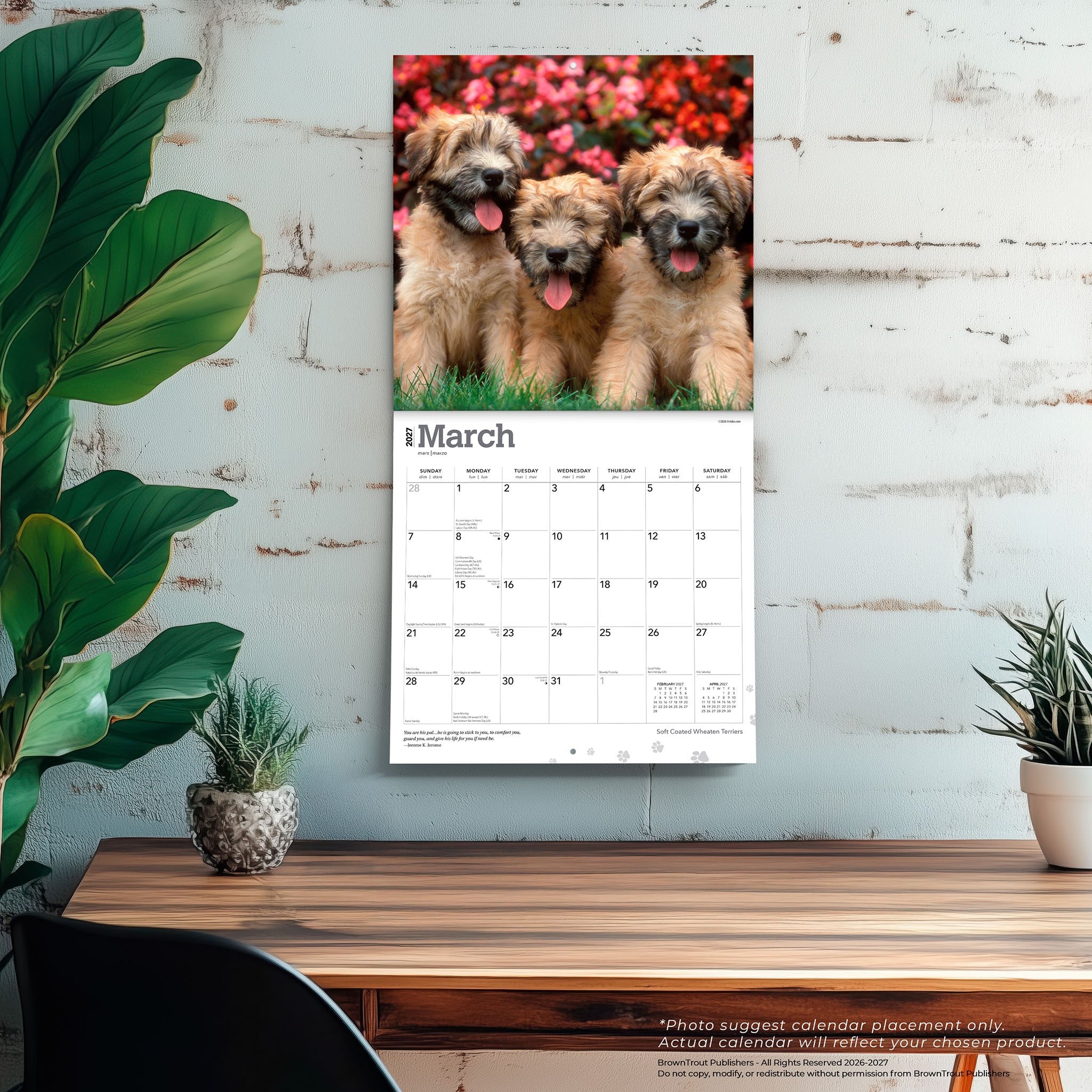 Soft Coated Wheaten Terriers 2027 Wall Calendar