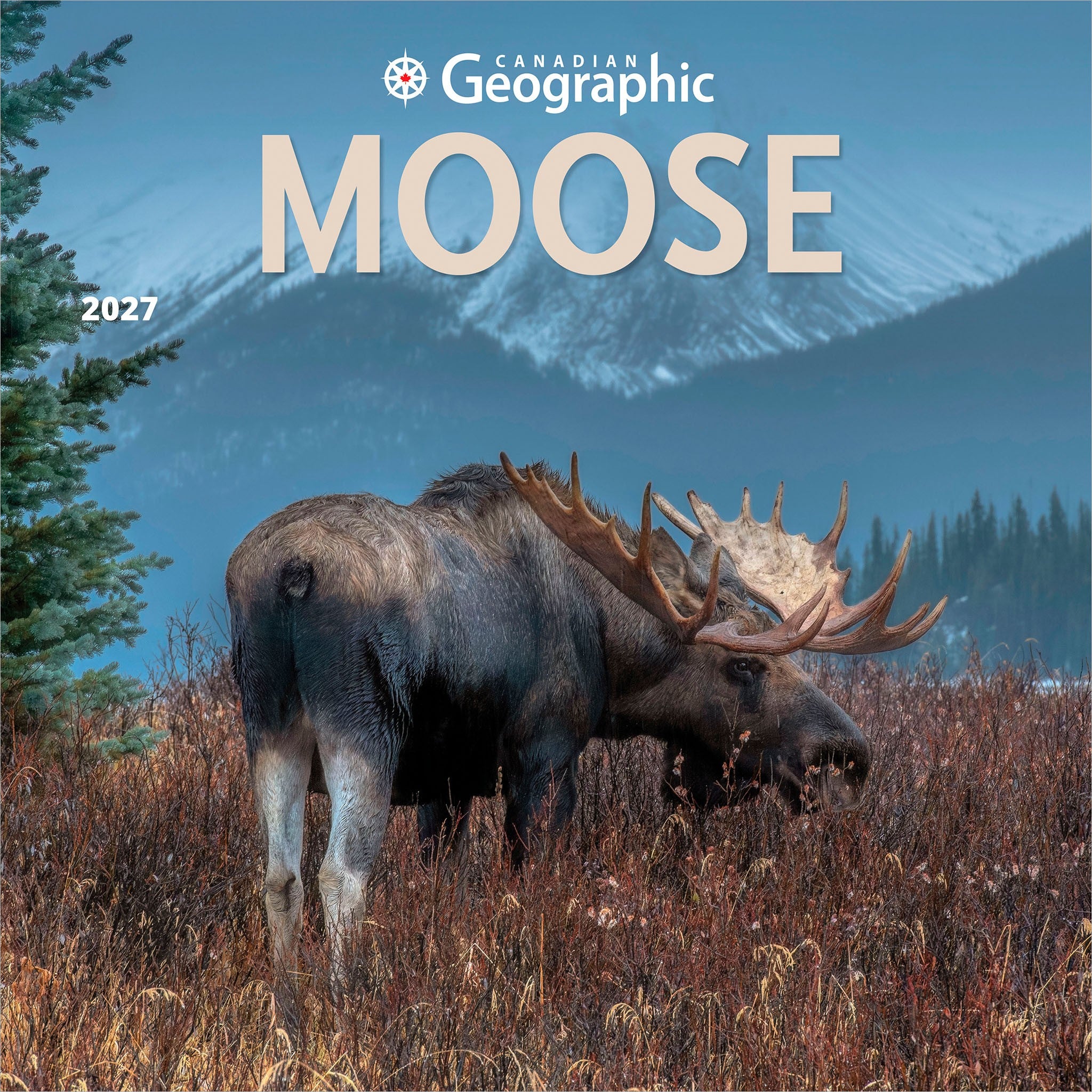 Canadian Geographic Moose 2027 Wall Calendar