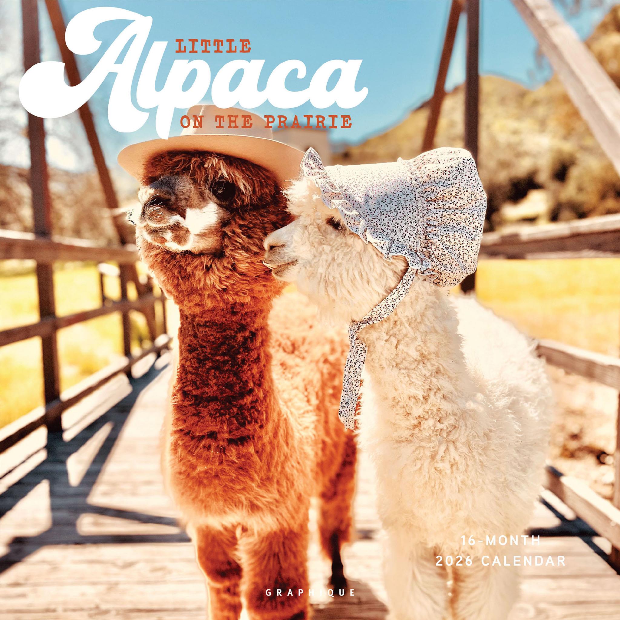Calendrier mural Little Alpaca On The Prairie 2026