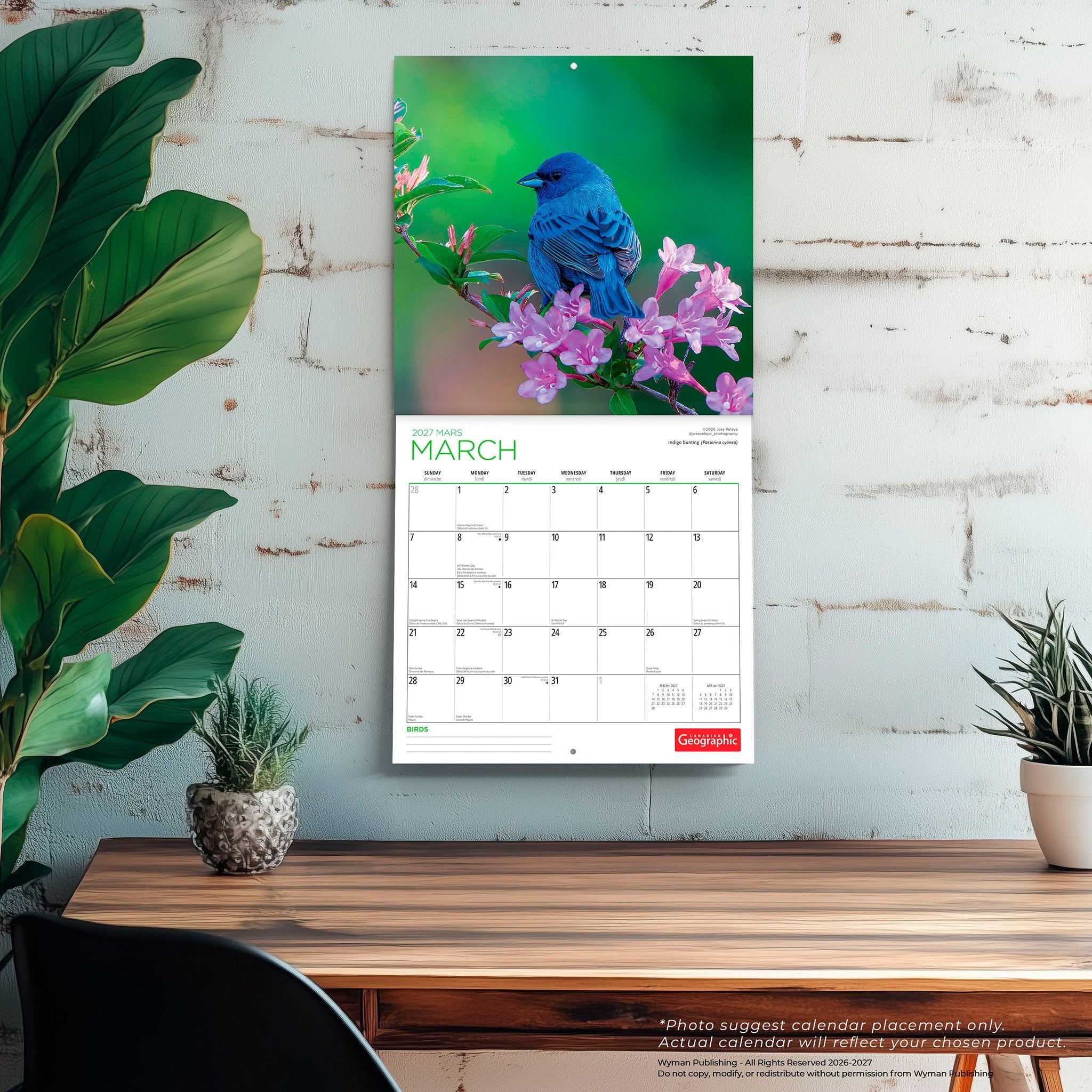 Canadian Geographic Birds 2027 Wall Calendar