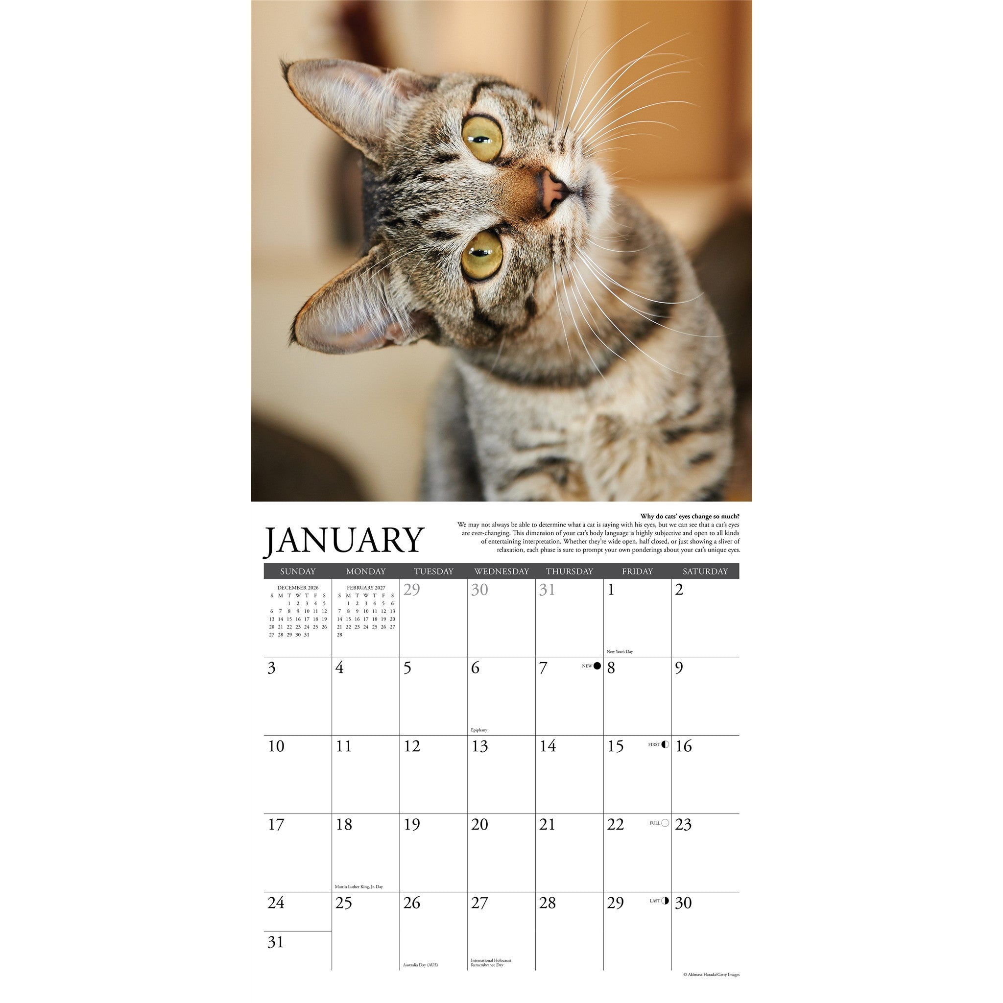 Why Cats Do That 2027 Wall Calendar