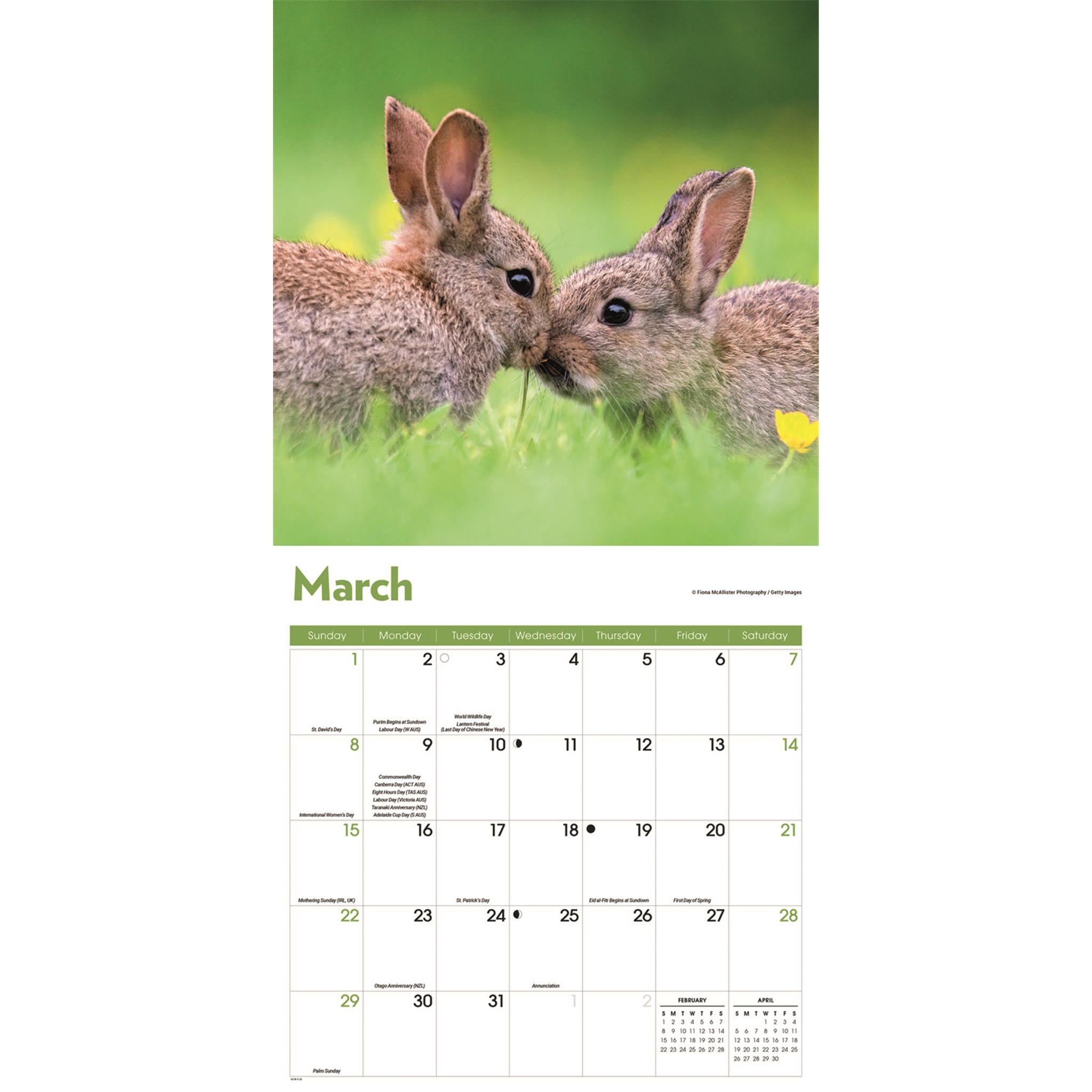 Calendrier mural Lapins 2026