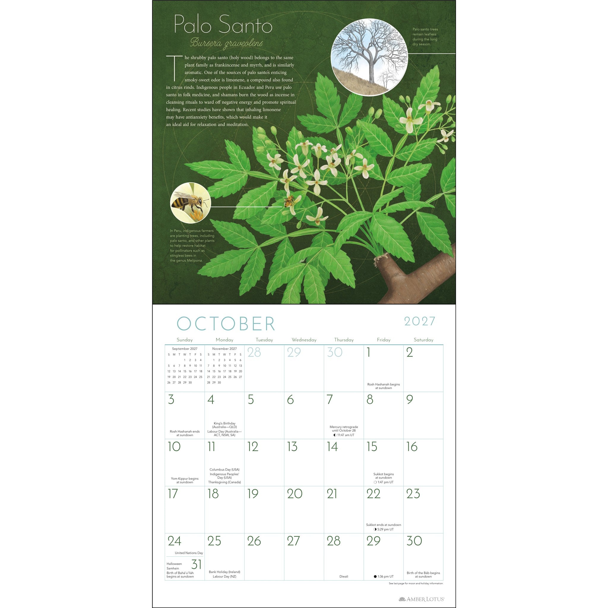 Trees of Life 2027 Wall Calendar - Online Only