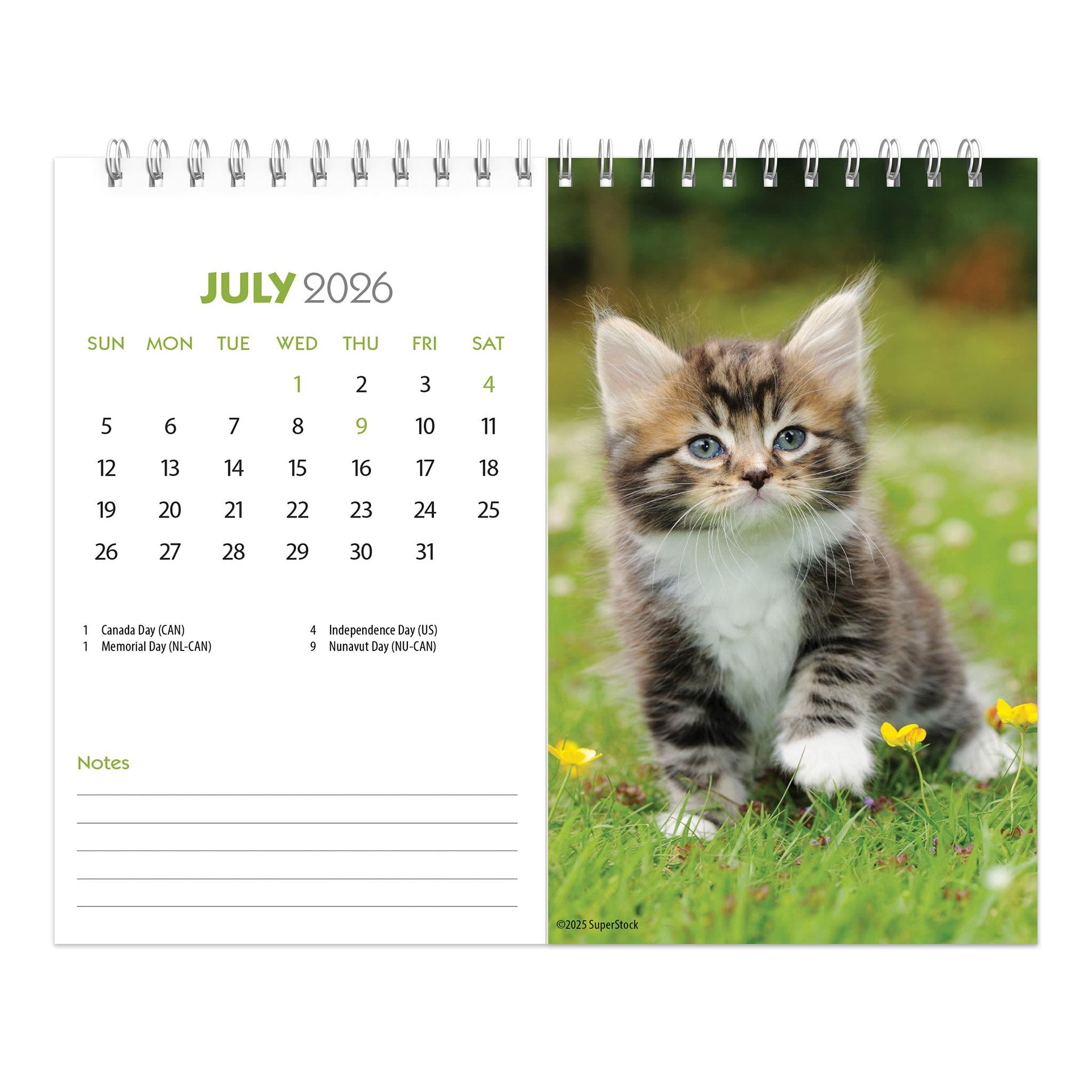 Calendrier chevalet double vue Chatons 2026