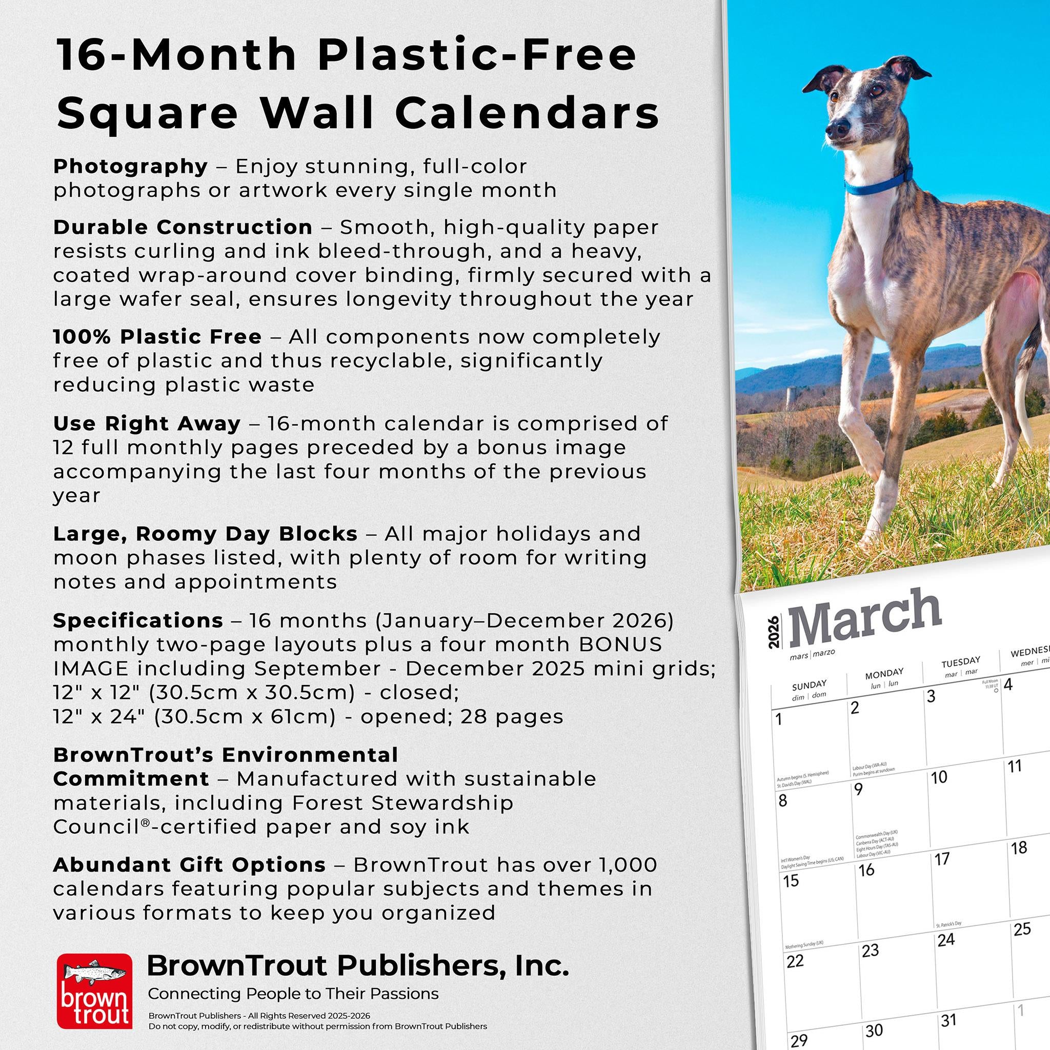 Calendrier mural Greyhounds 2026