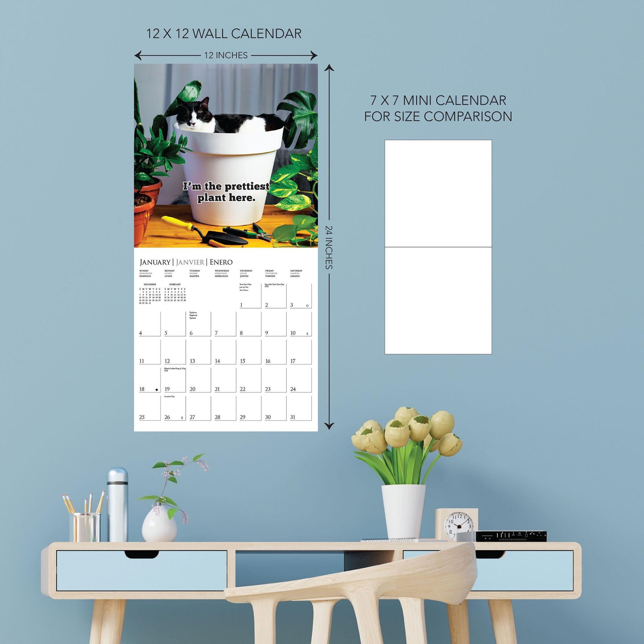 Calendrier mural 2026 « Que des ennuis » - Disponible uniquement en ligne