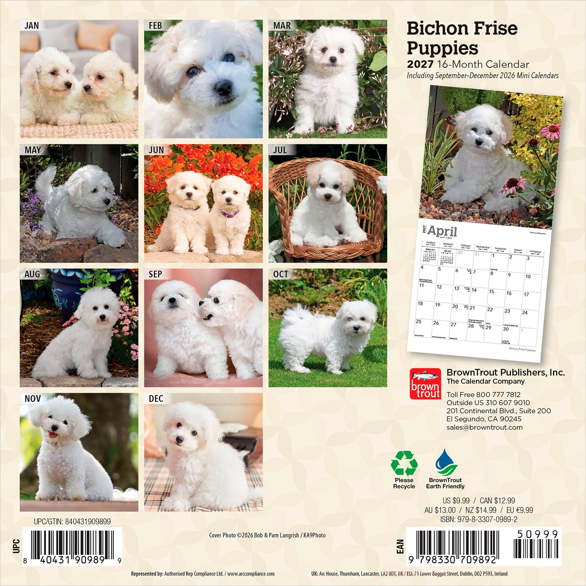 Bichon Frise Puppies 2027 Mini Calendar