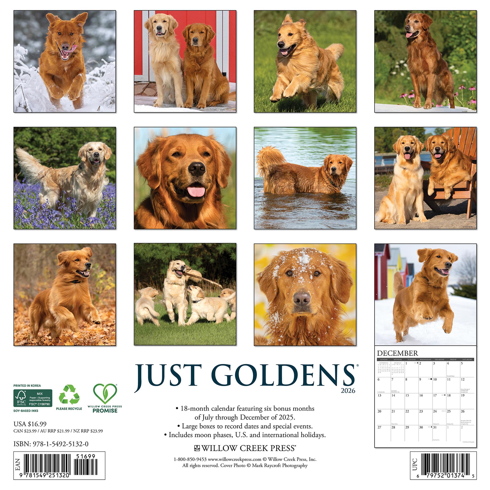 Calendrier mural Just Goldens 2026