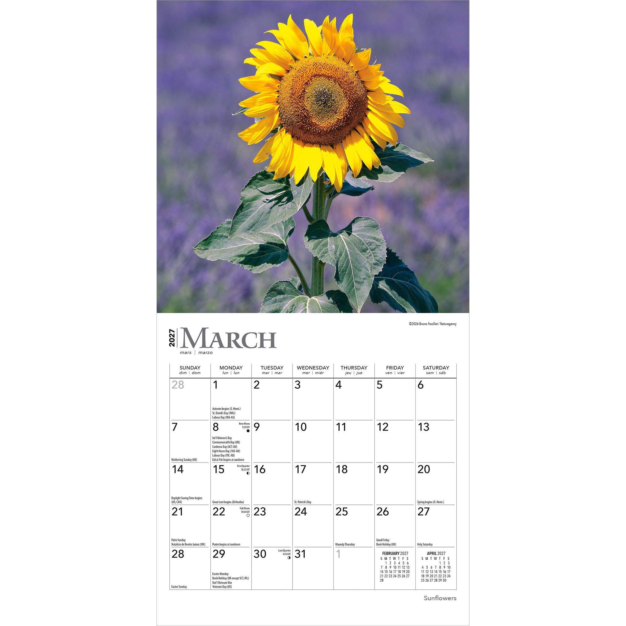 Sunflowers 2027 Mini Calendar