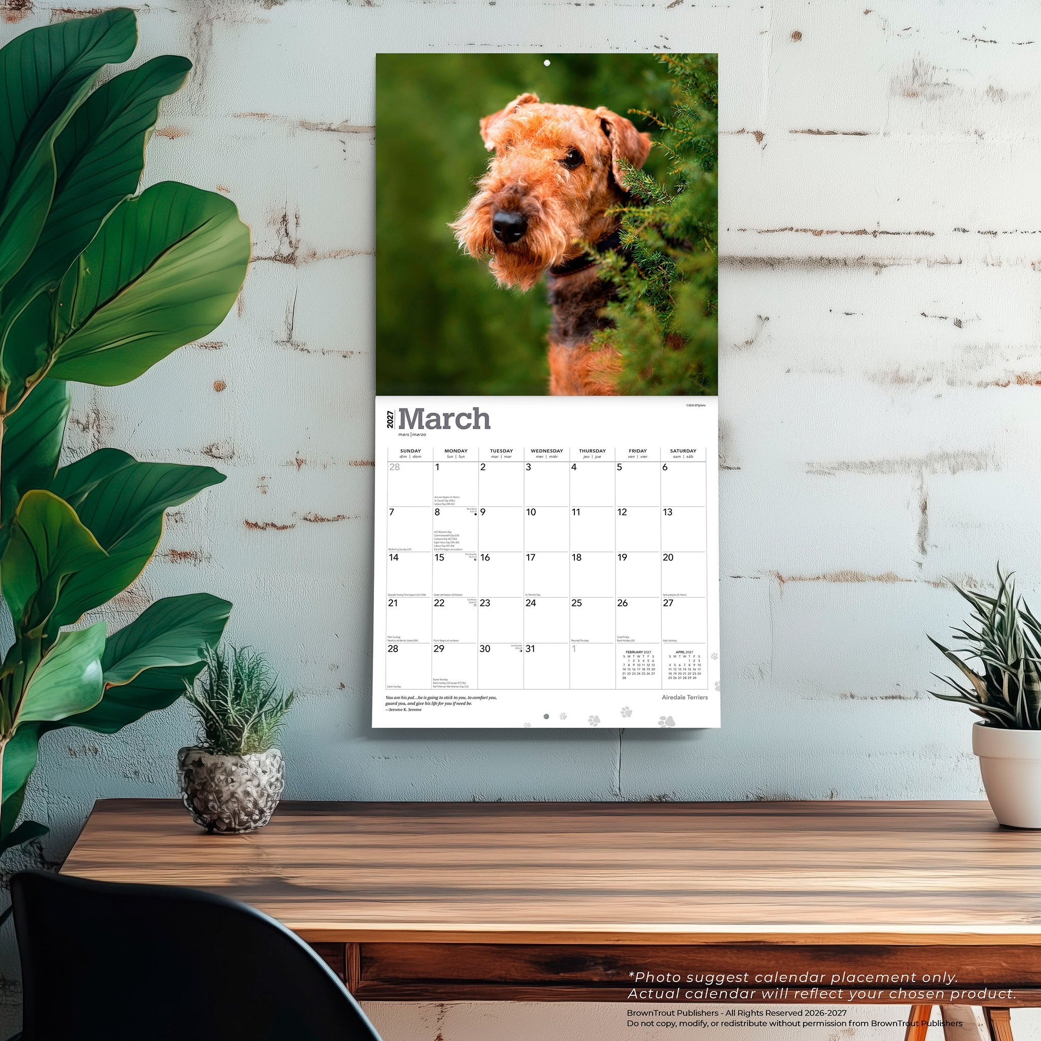 Airedale Terriers 2027 Wall Calendar