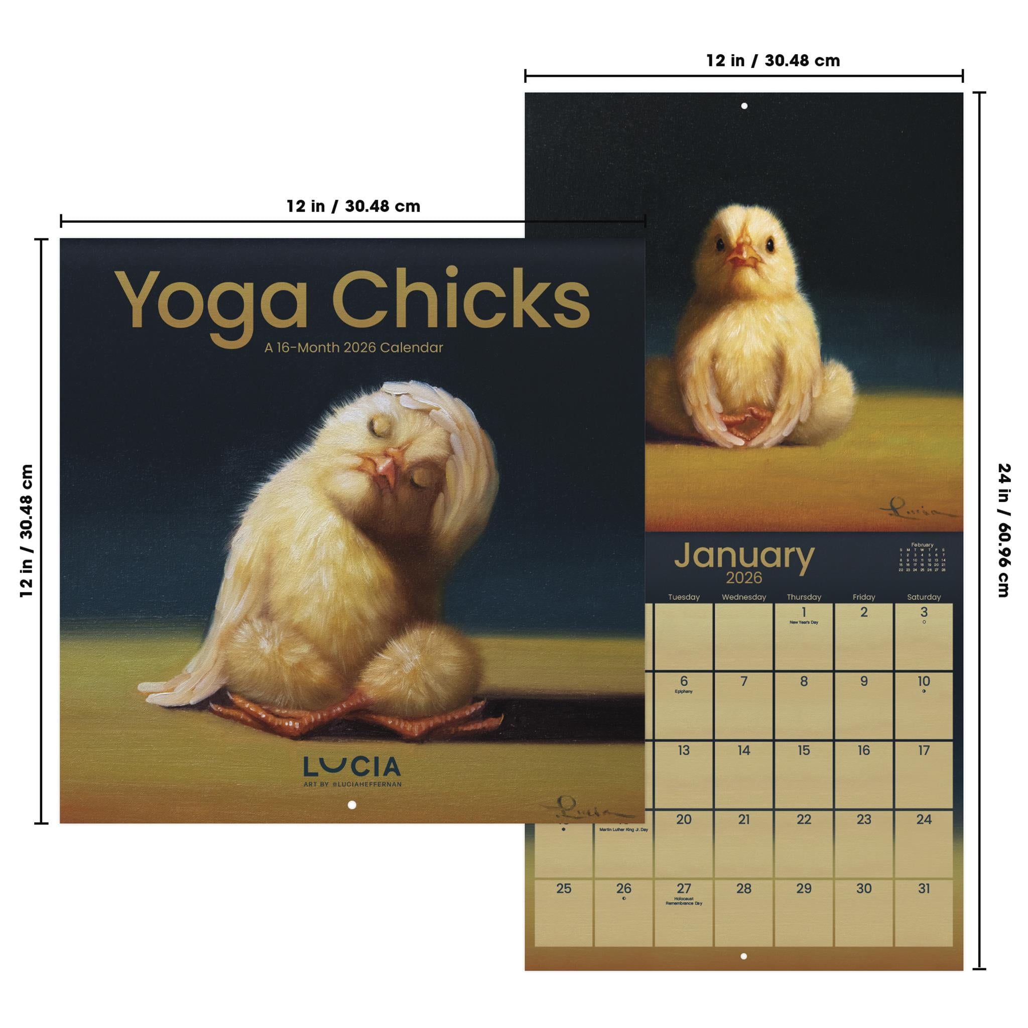 Calendrier mural Yoga Chicks 2026