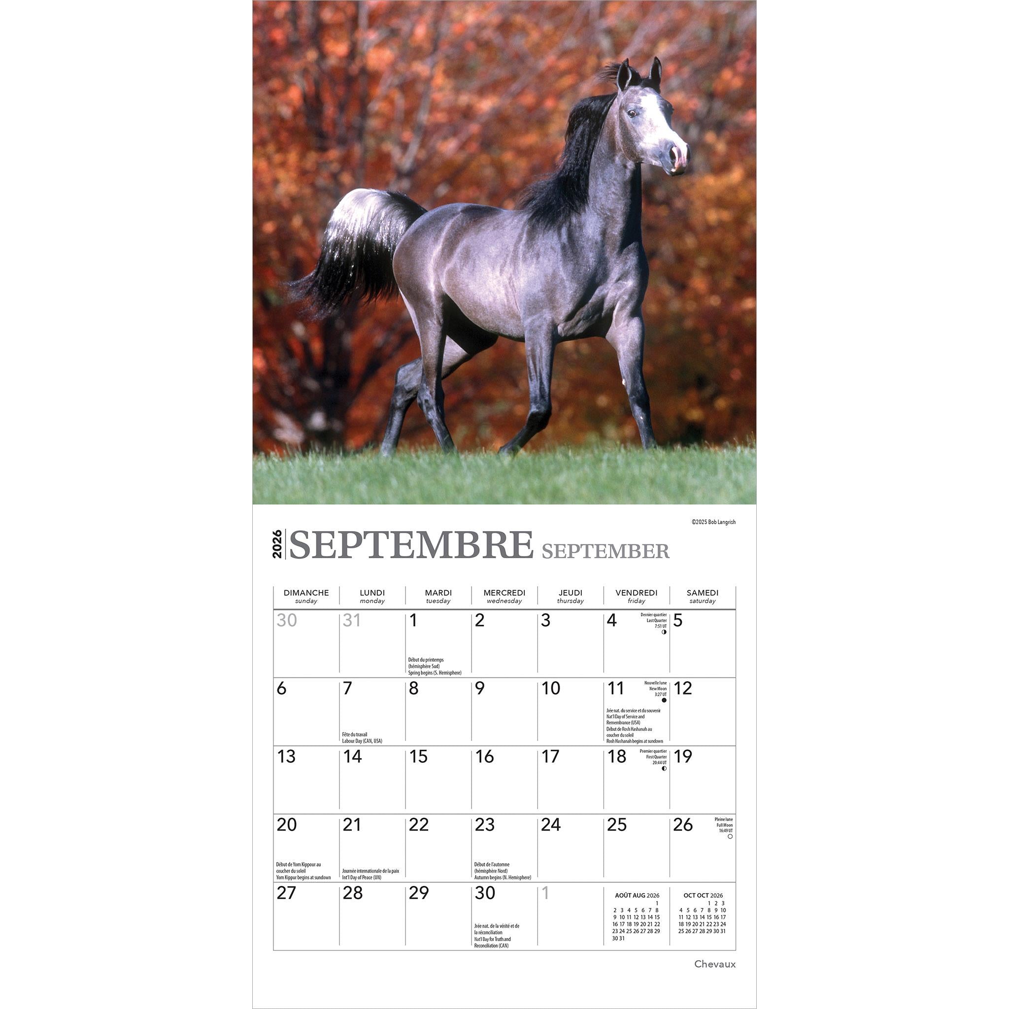 Chevaux 2026 Mini Calendar (French)