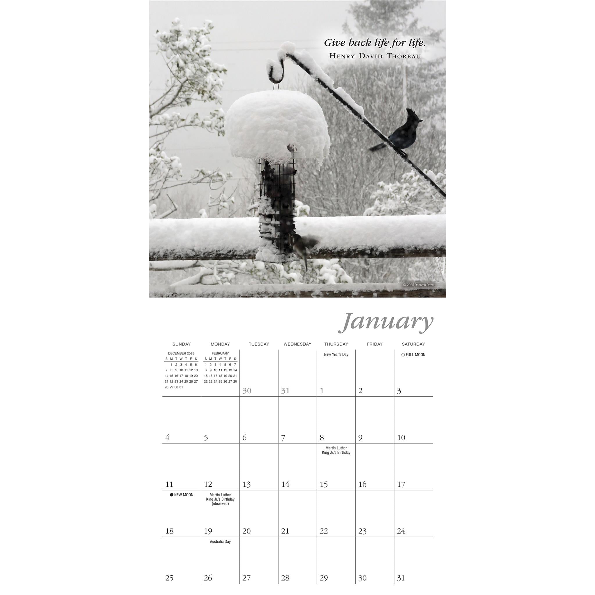 Simplicity 2026 Mini Calendar - Online Only