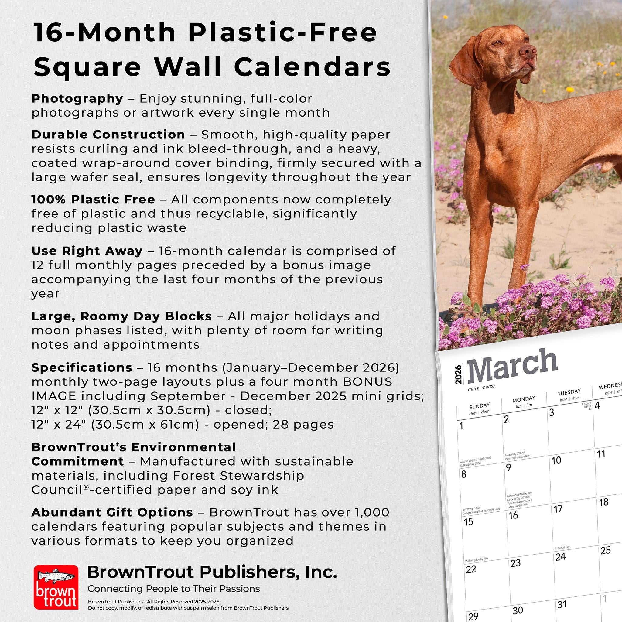Vizslas 2026 Wall Calendar