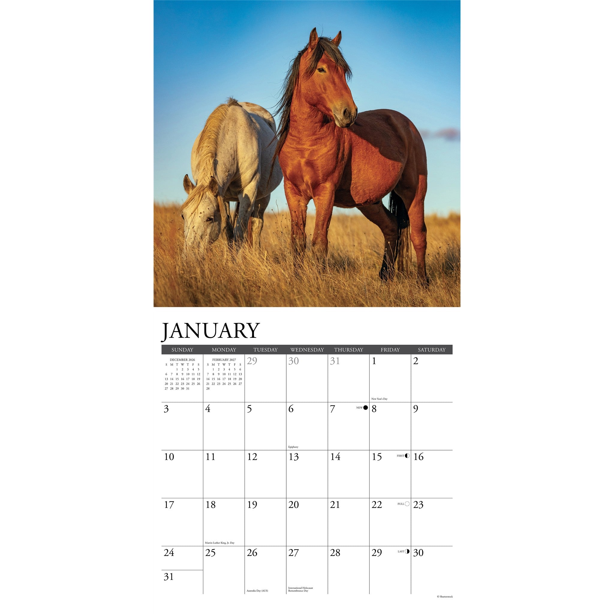 Wild Horses 2027 Wall Calendar