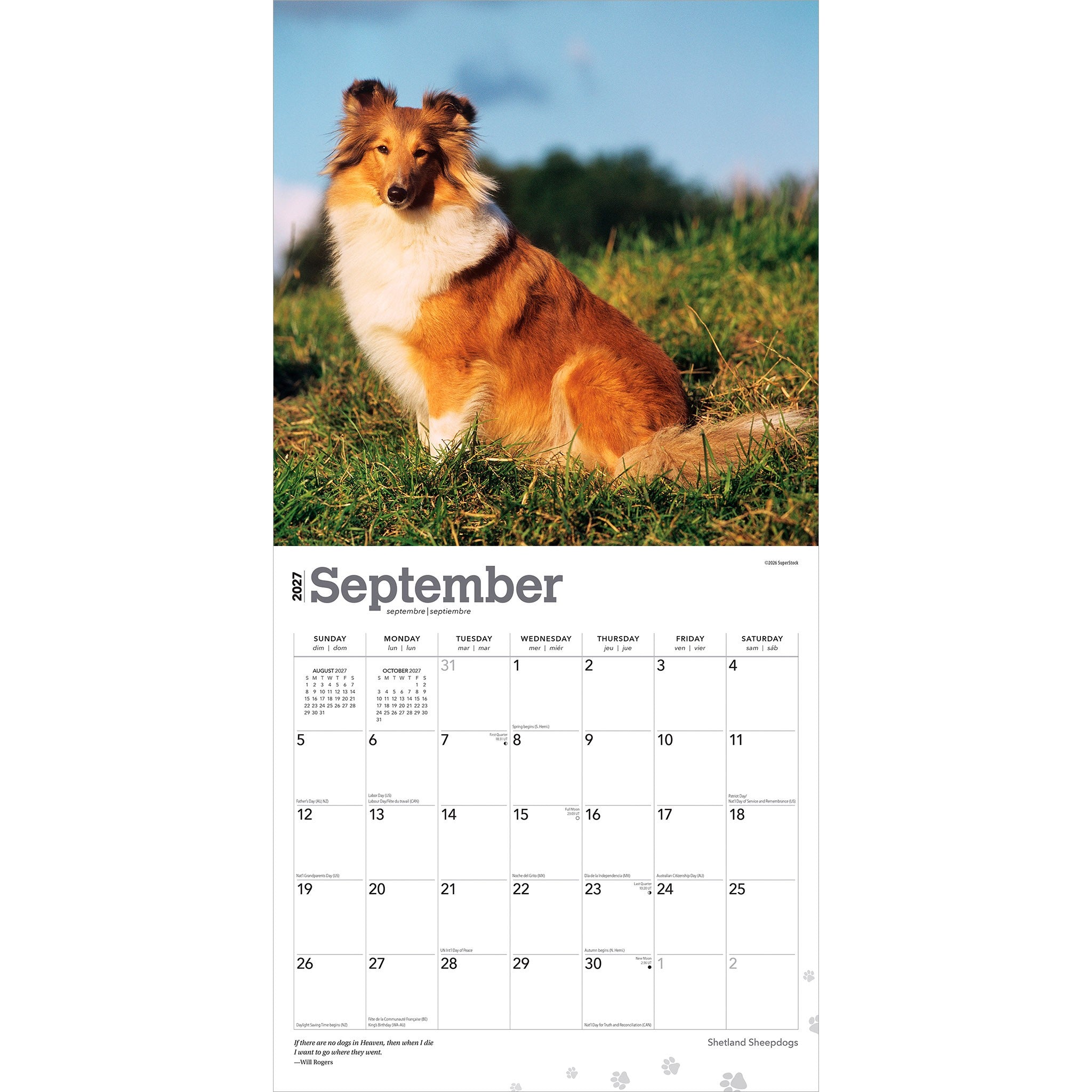Shetland Sheepdogs 2027 Wall Calendar