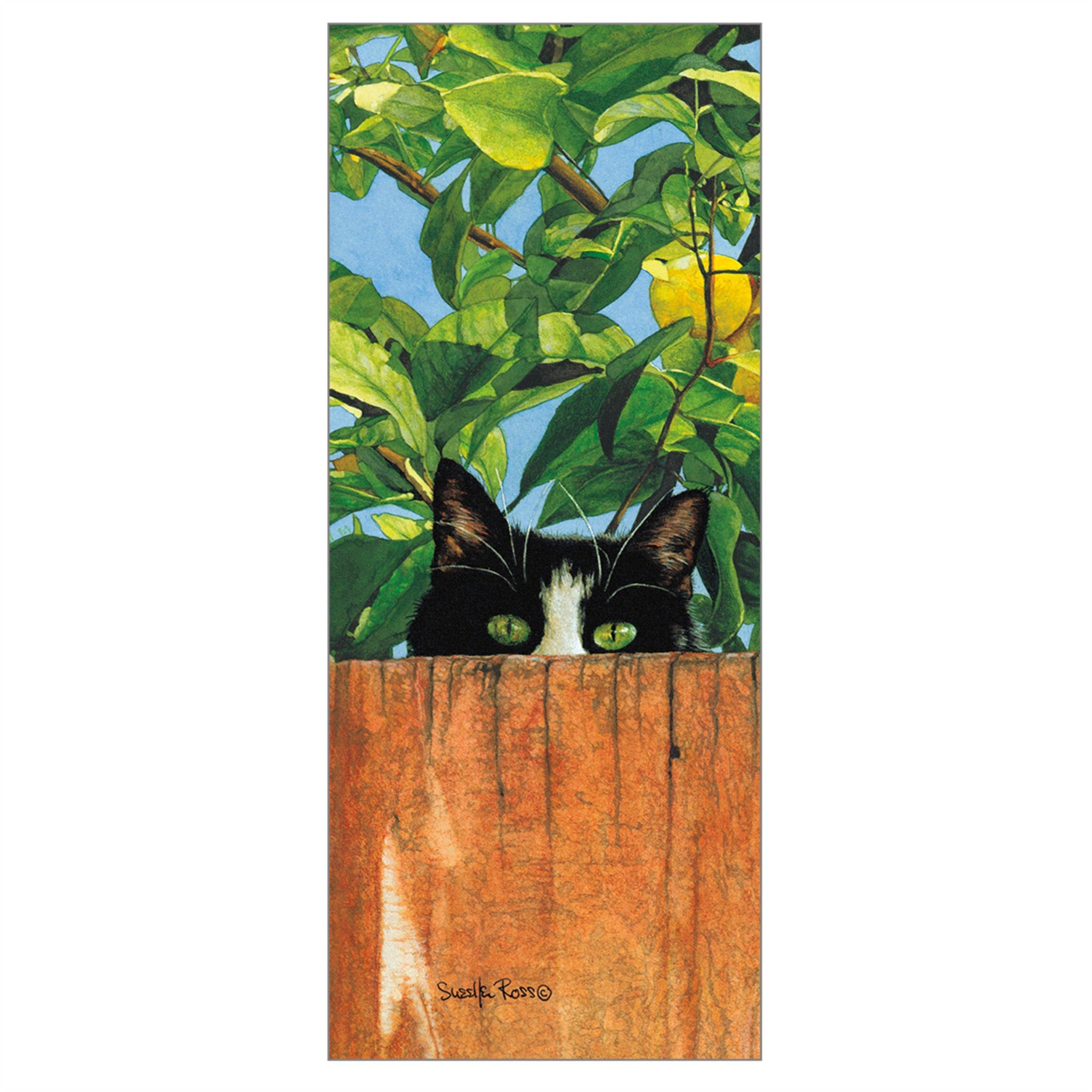Cats We Love Special Edition 2027 Wall Calendar