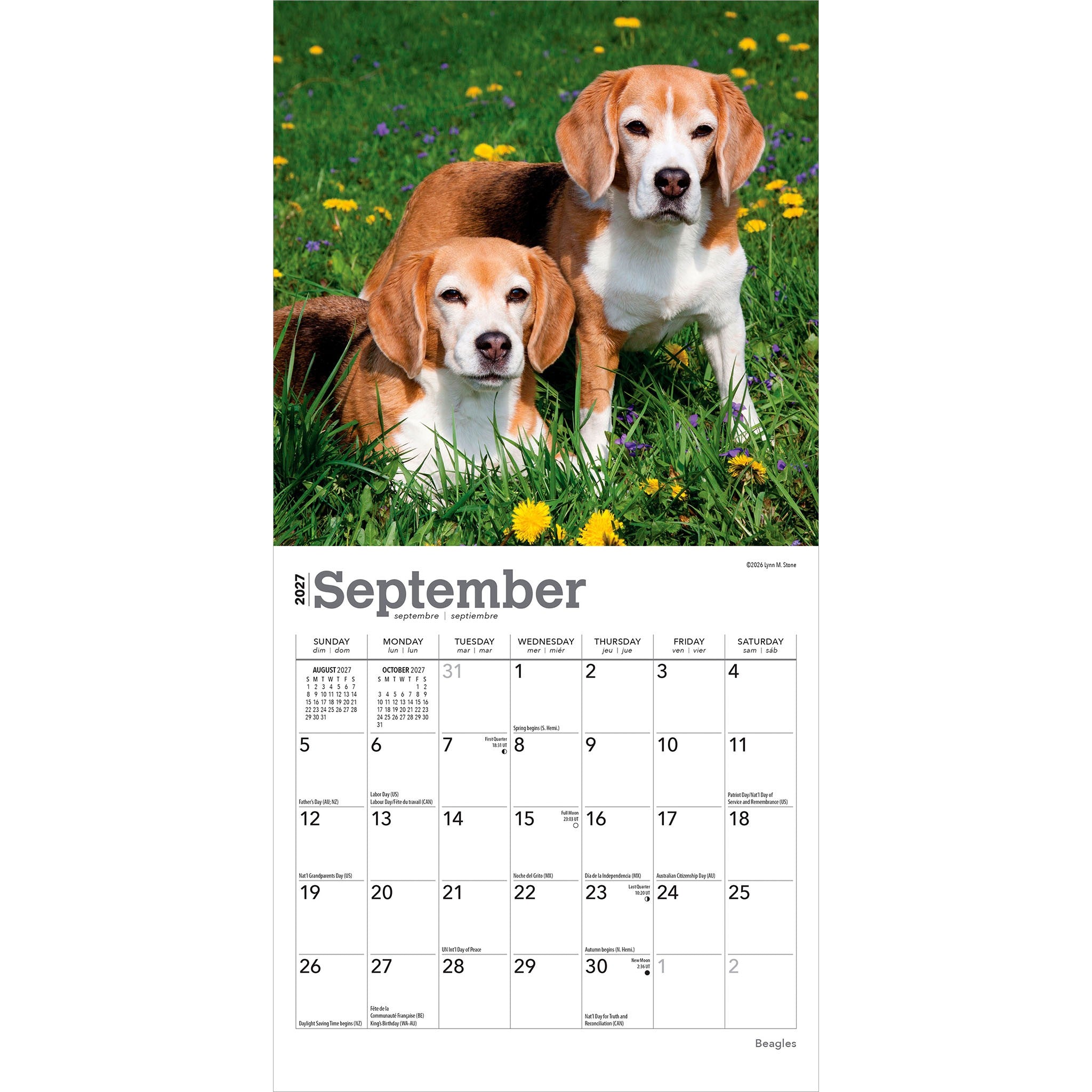Beagles 2027 Mini Calendar