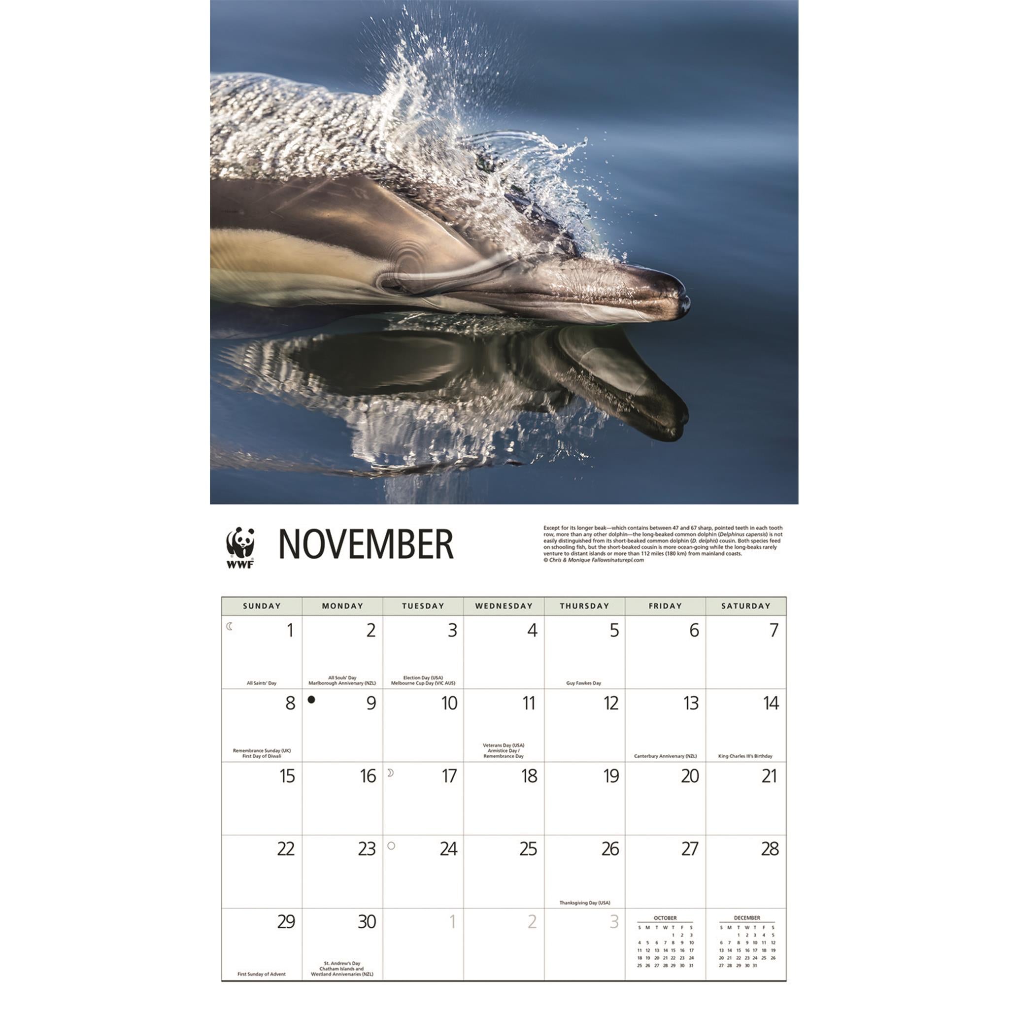 Calendrier mural Dauphins 2026 du Fonds mondial pour la nature