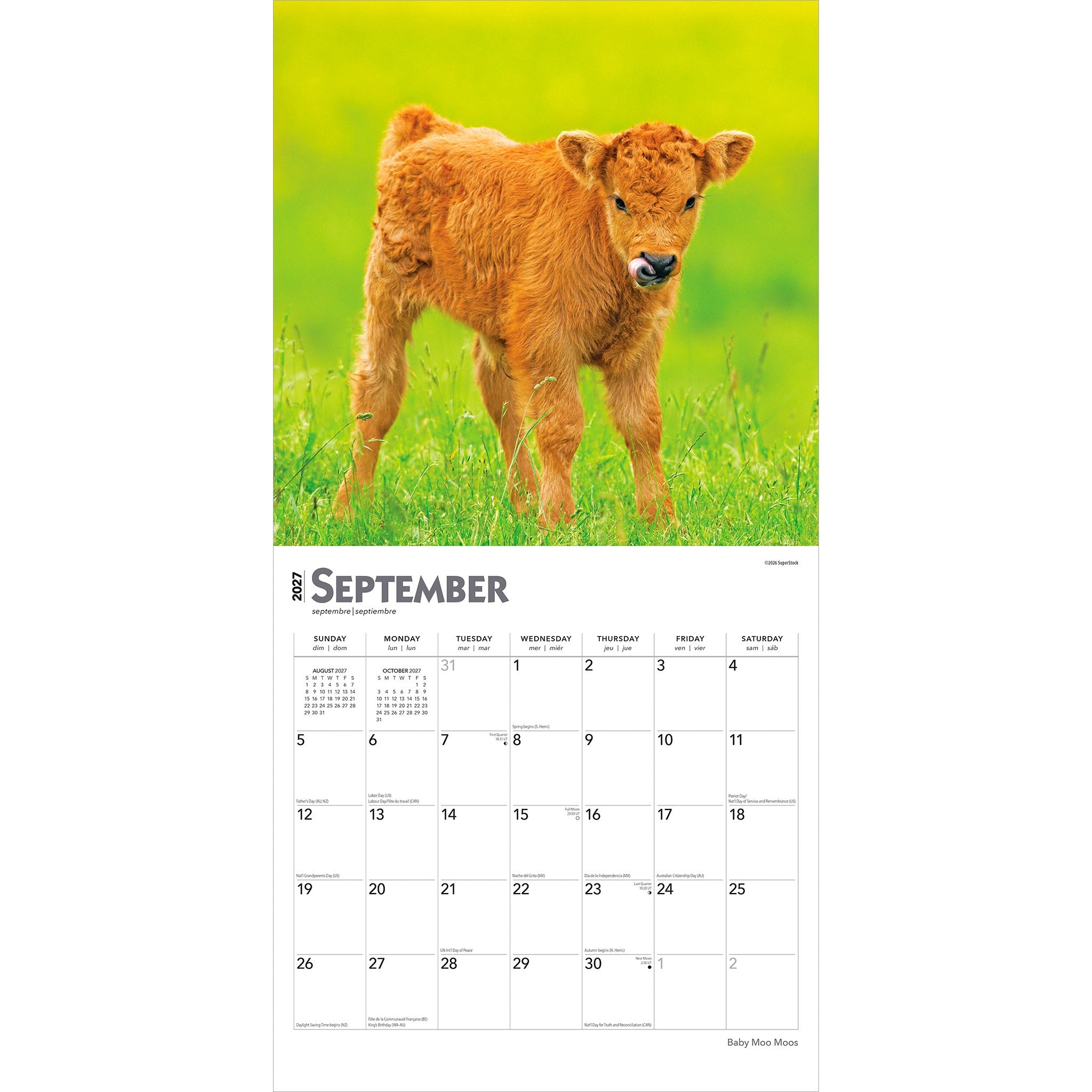 Baby Moo Moos 2027 Wall Calendar - Online Only