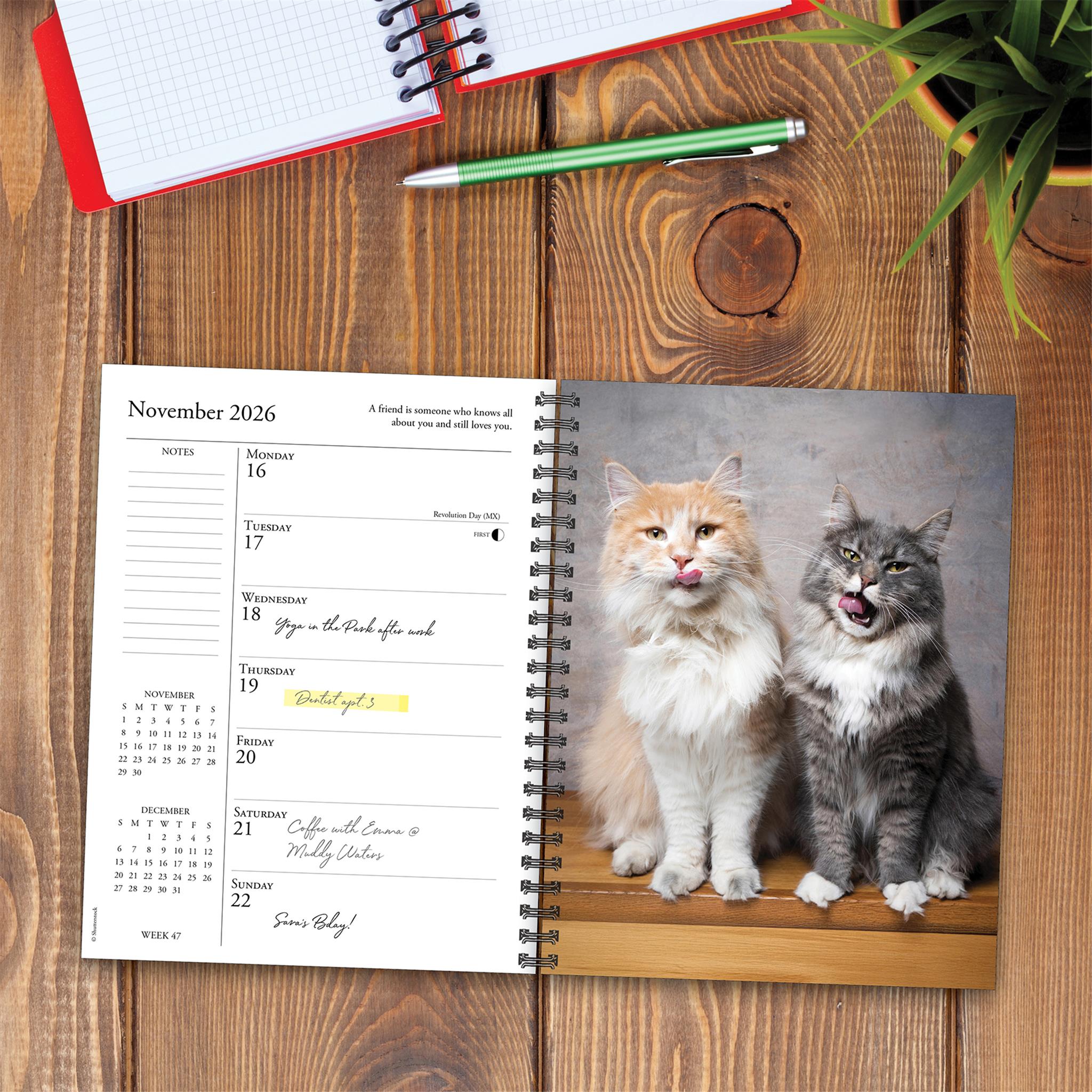 What Cats Teach Us 2026 Engagement Calendar