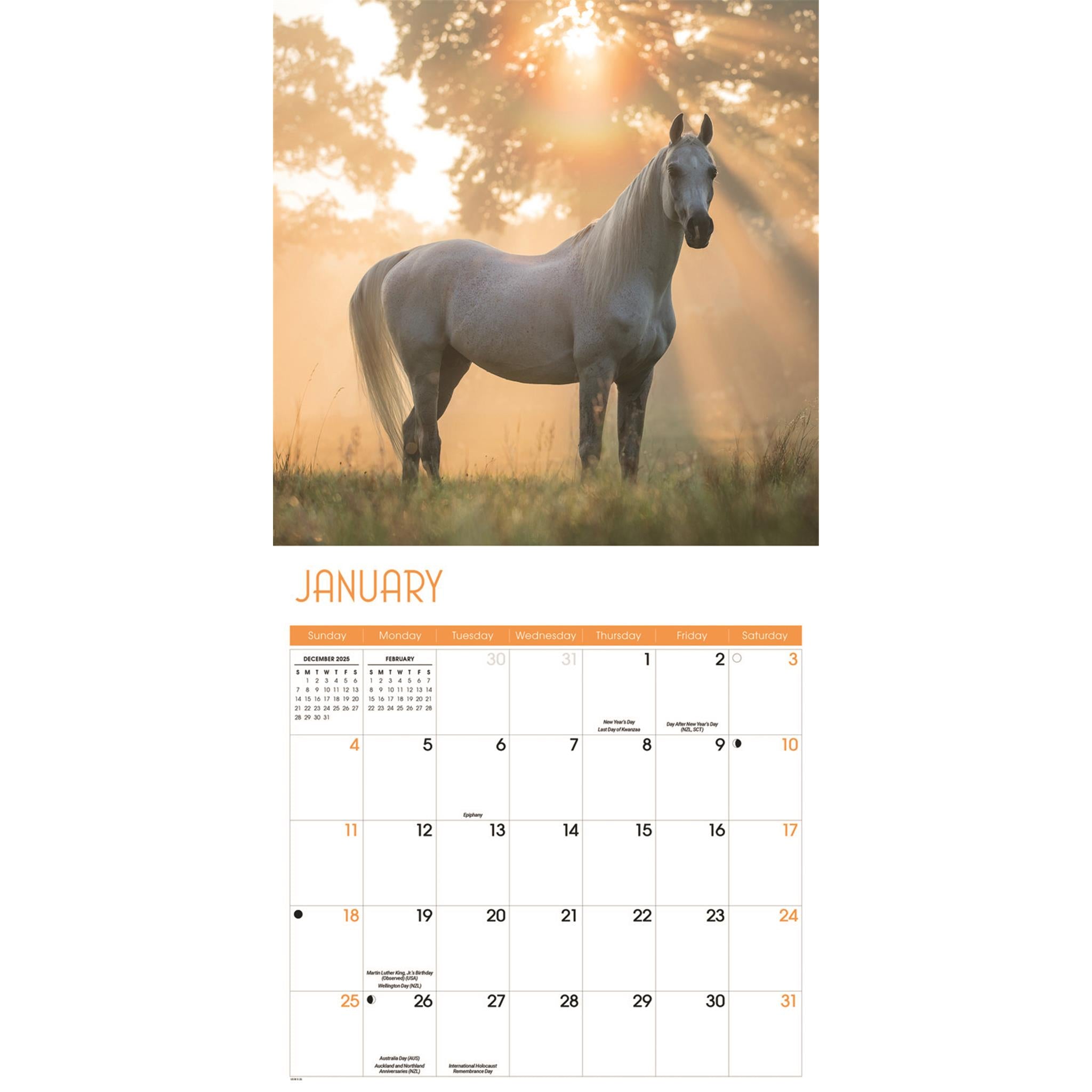 Calendrier mural Chevaux 2026