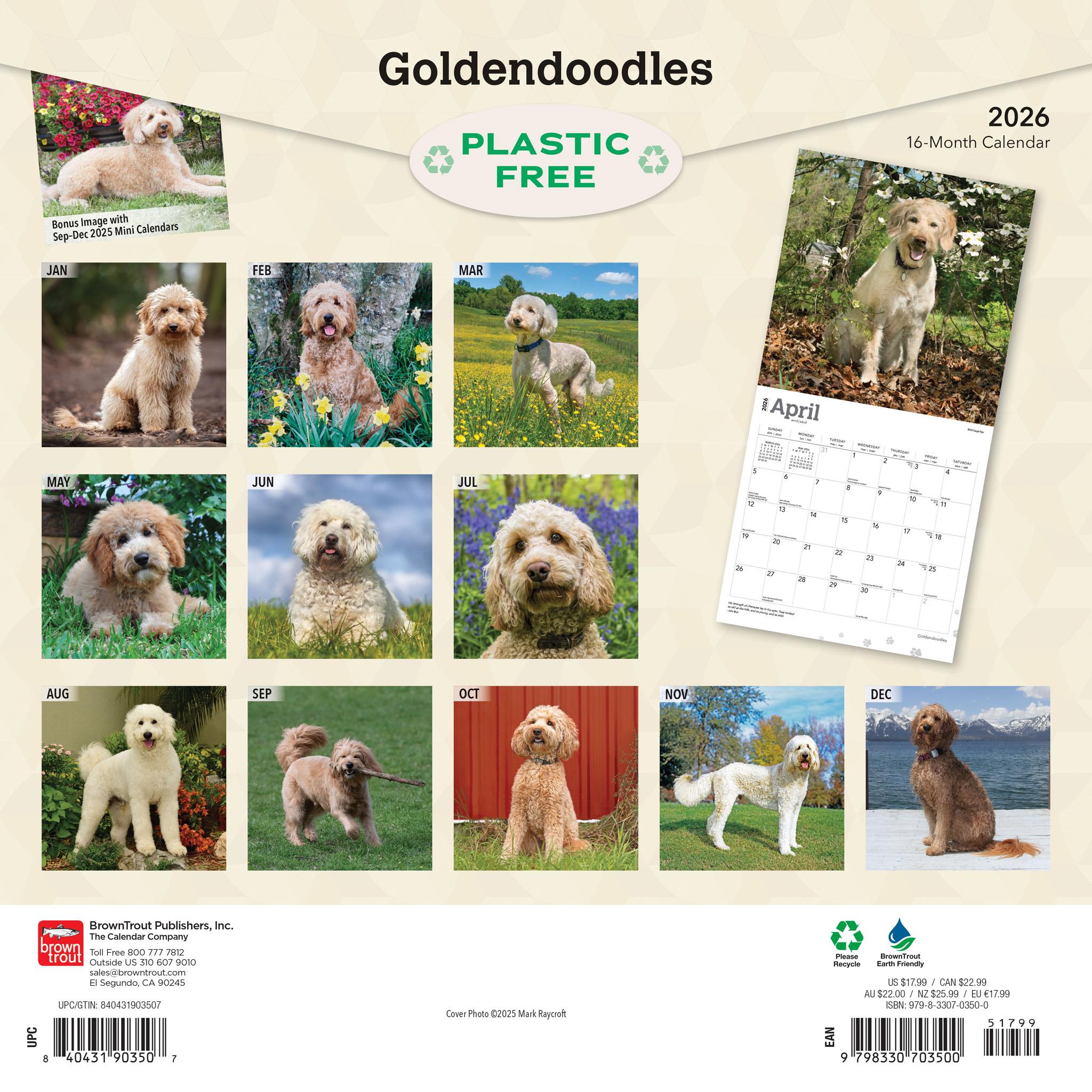 Calendrier mural Goldendoodles 2026
