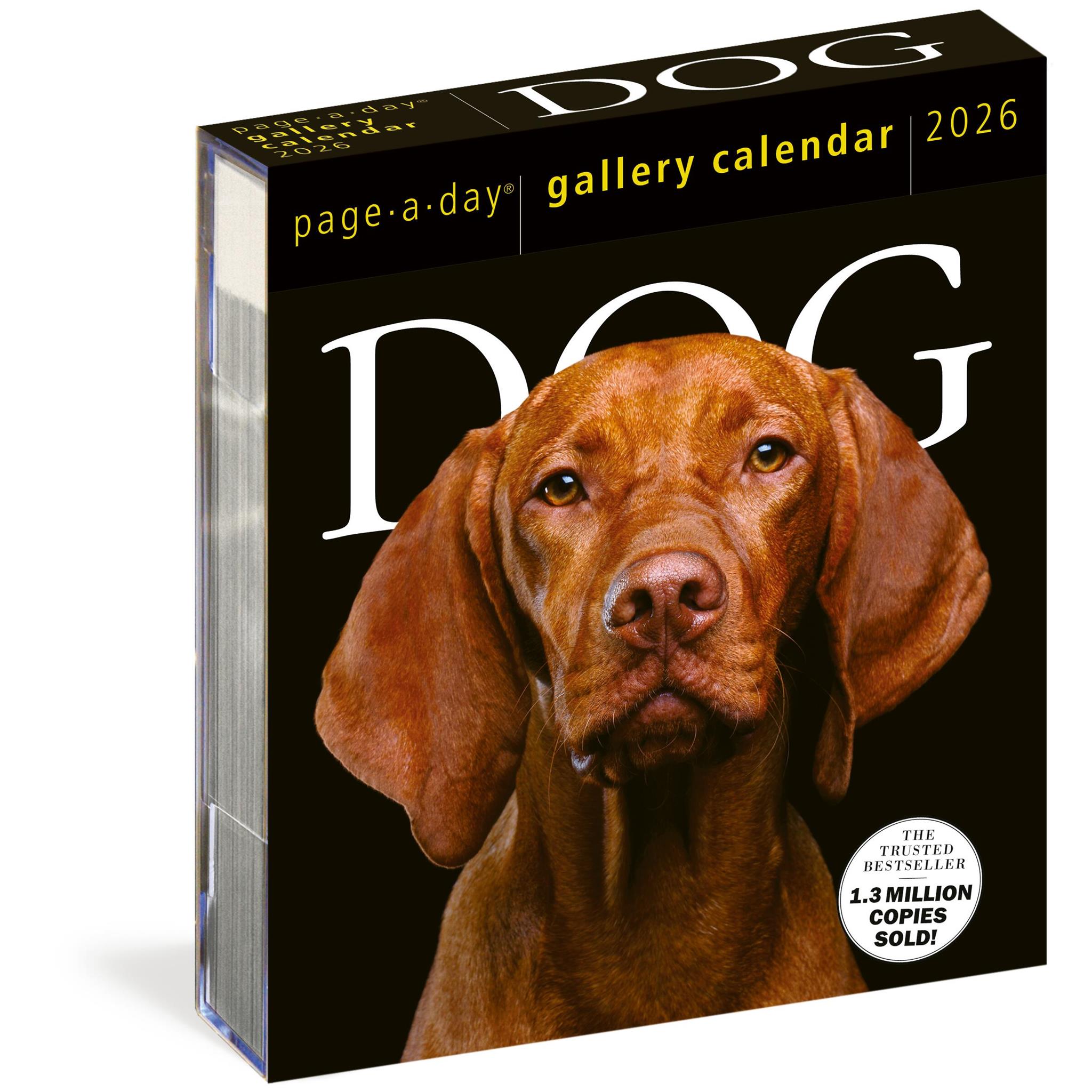 Calendrier Dog Gallery 2026
