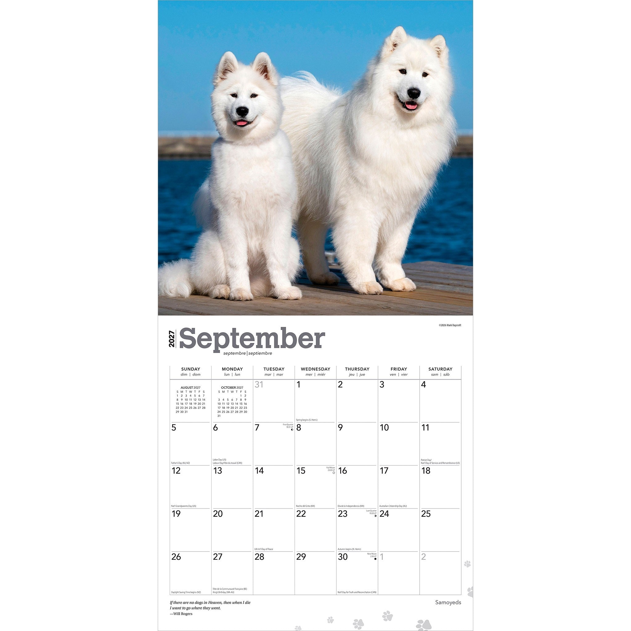Samoyeds 2027 Wall Calendar