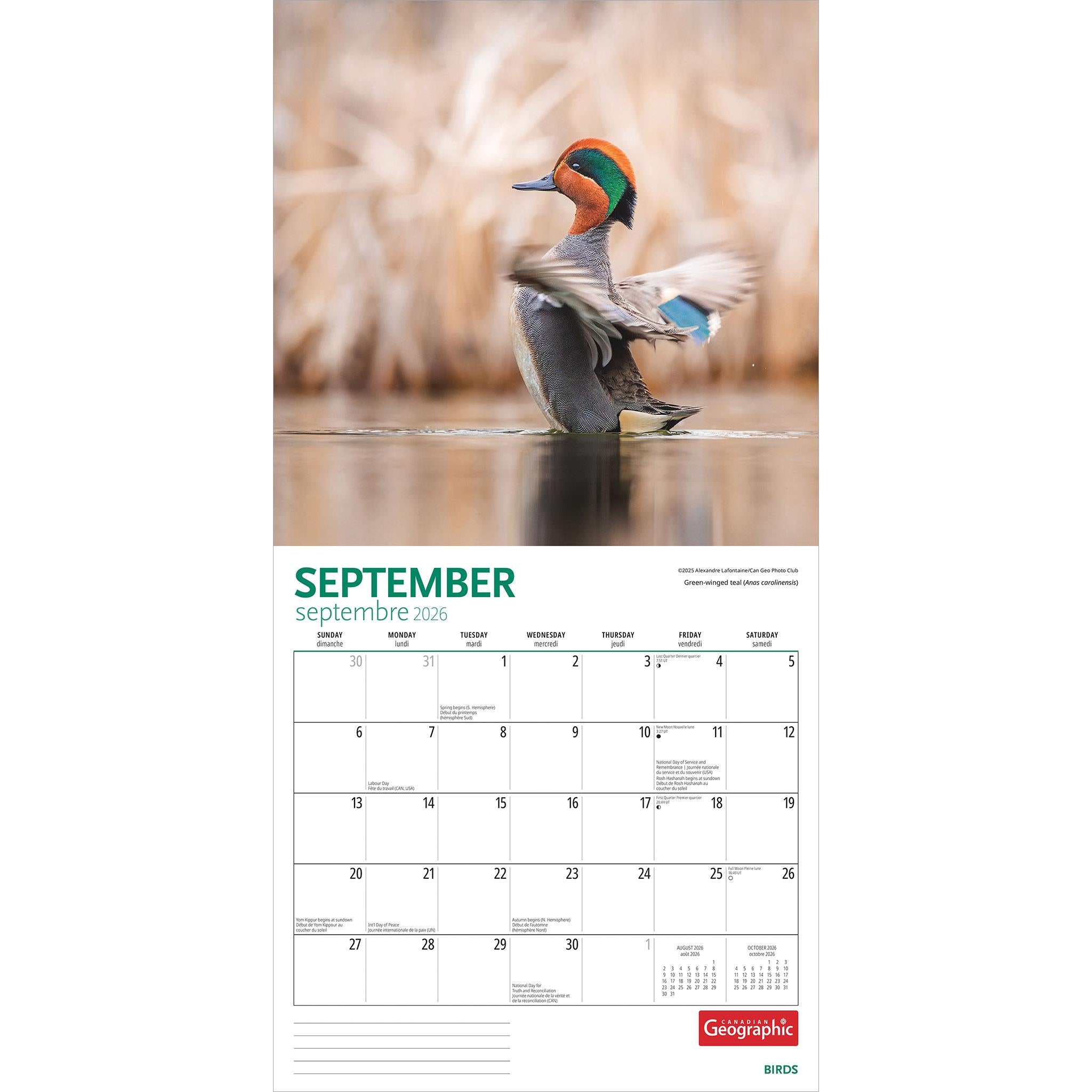 Canadian Geographic Birds 2026 Wall Calendar - Online Only