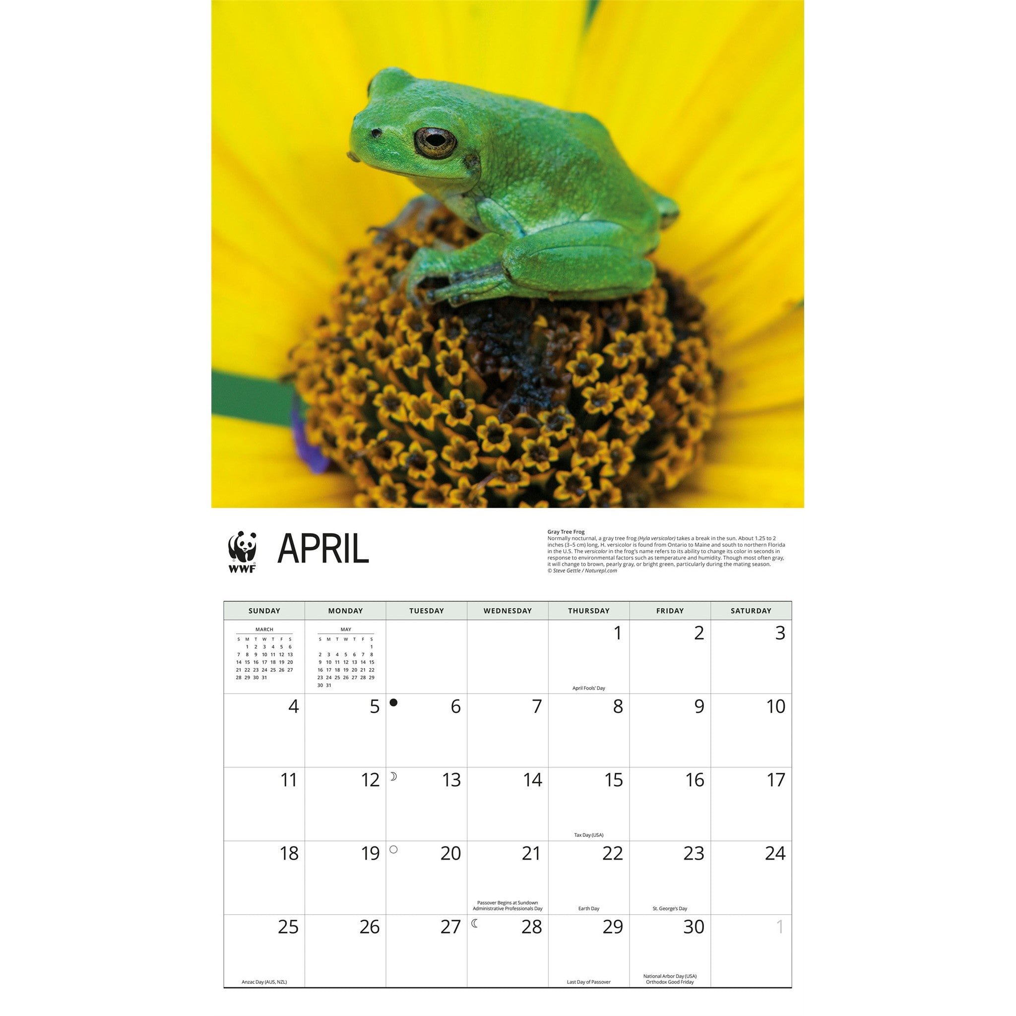 Calendrier mural 2027 Grenouilles du Fonds mondial pour la nature