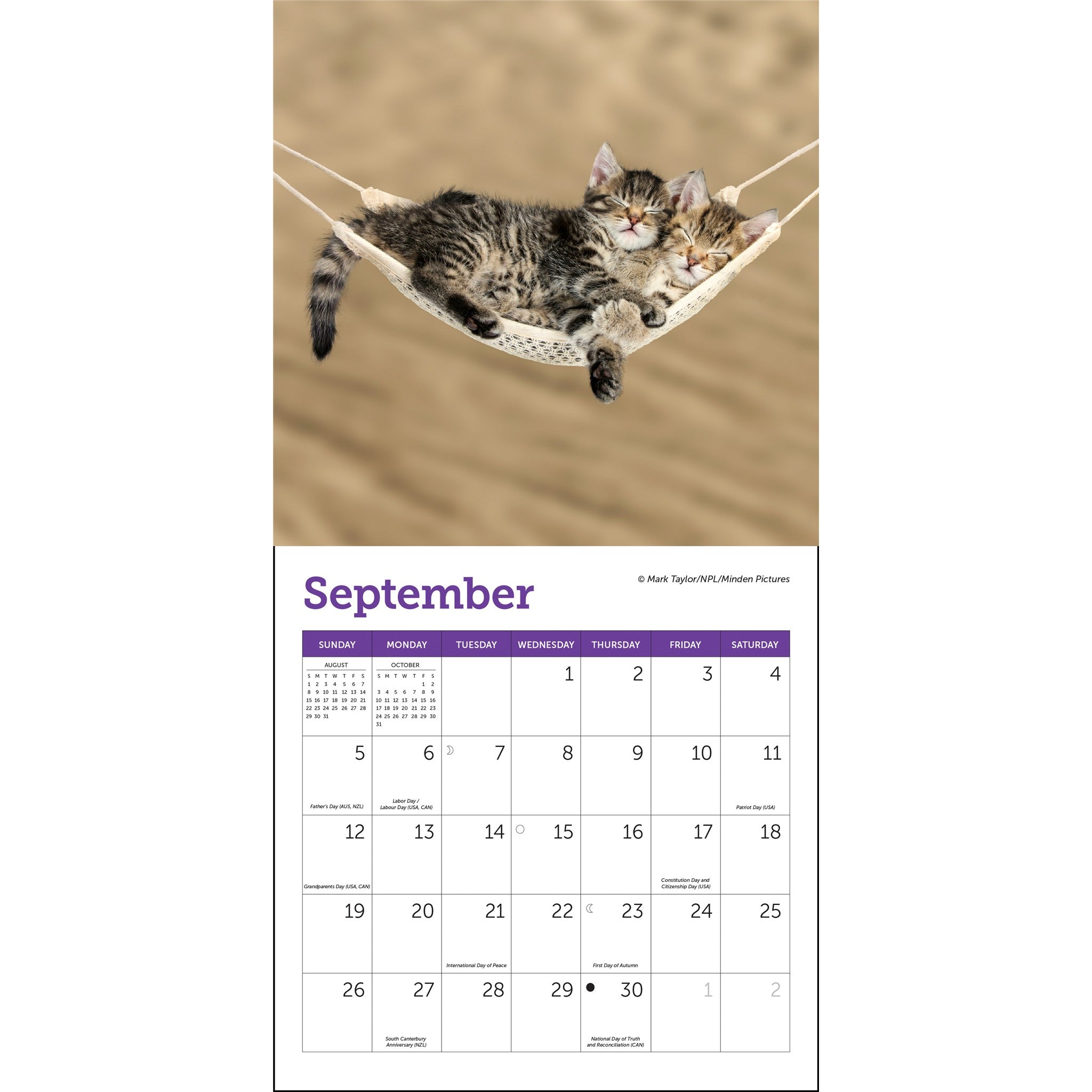 Mini calendrier Chats 2027