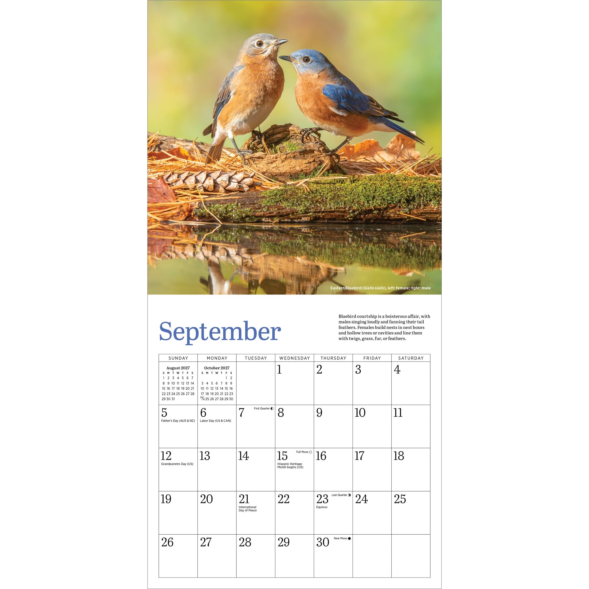 Audbon Bluebirds 2027 Mini Calendar - Online Only