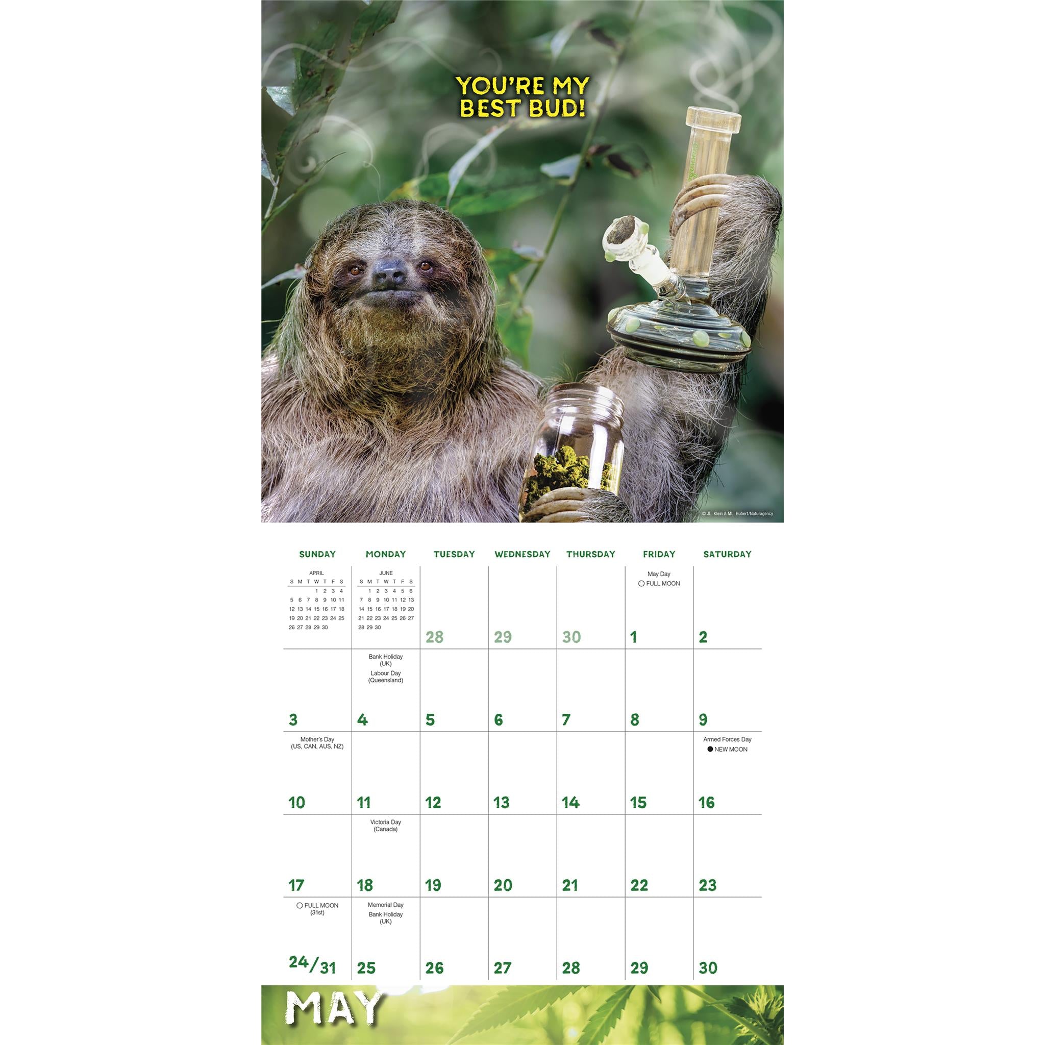 Calendrier mural Stoner Sloths 2026
