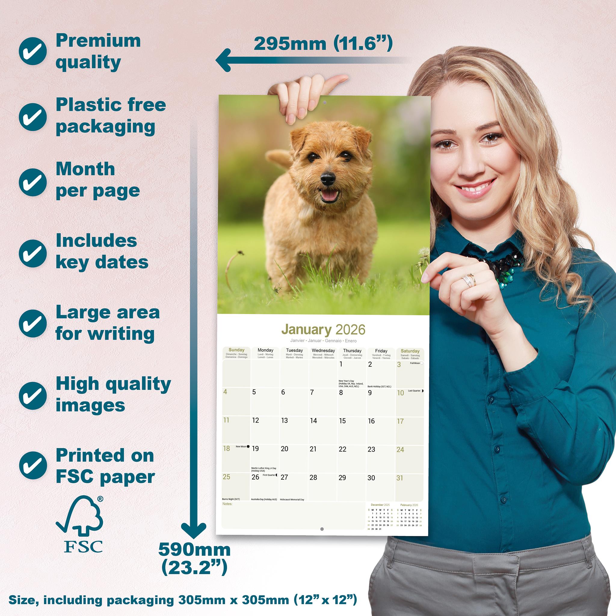 Calendrier mural Norwich Norfolk Terrier 2026