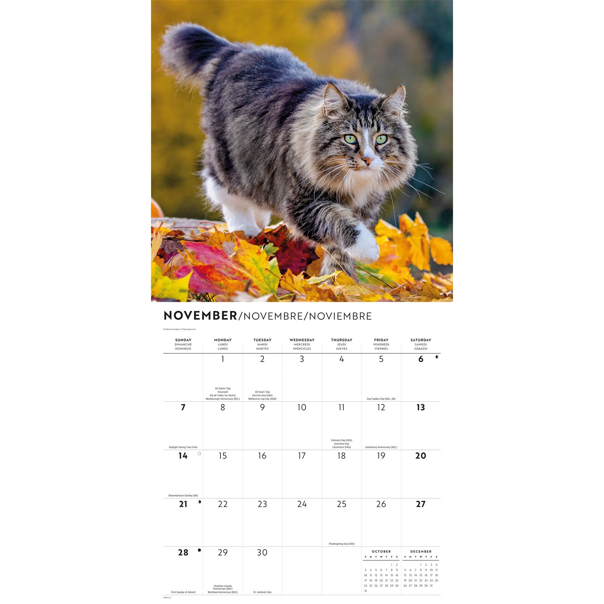 Calendrier mural L'Amour des chats 2027
