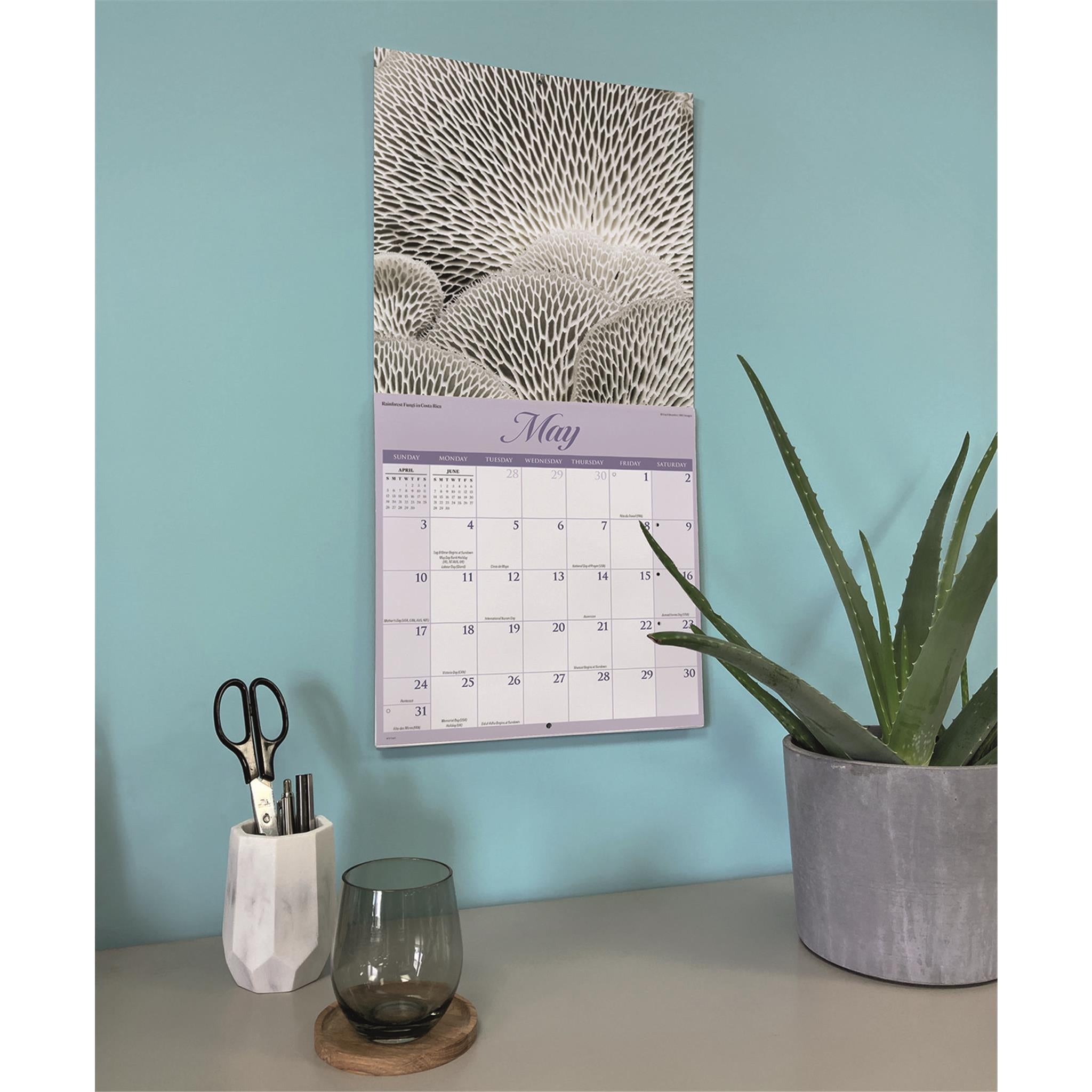 Calendrier mural des merveilles de la nature 2026