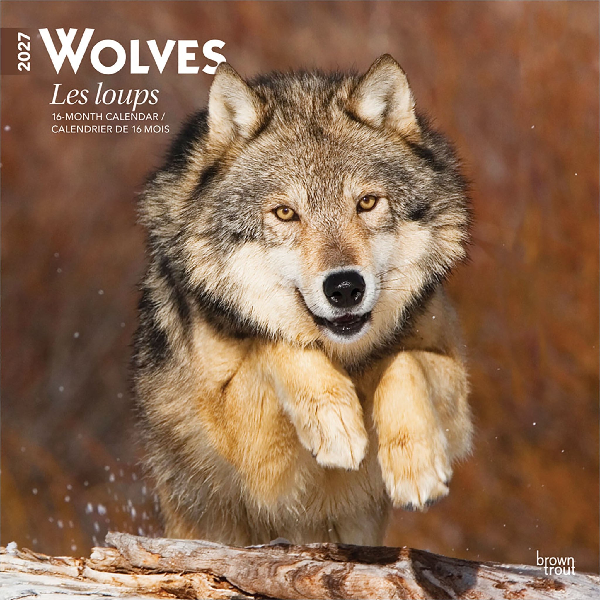 Wolves / Les loups 2027 Wall Calendar