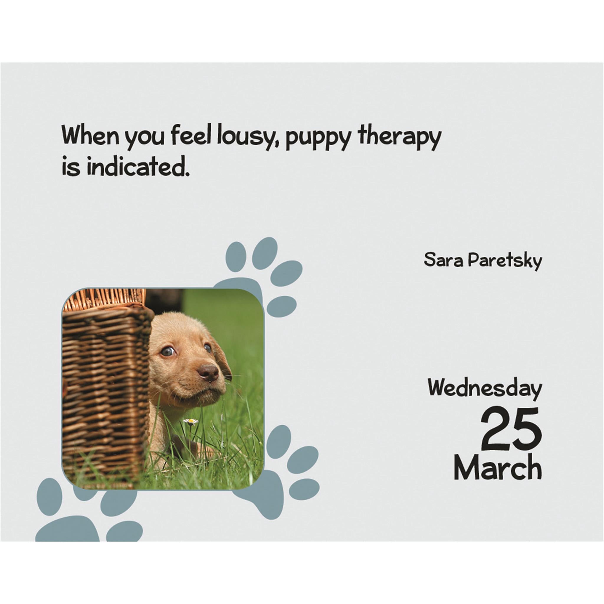 Puppies 2026 Small Box Calendar
