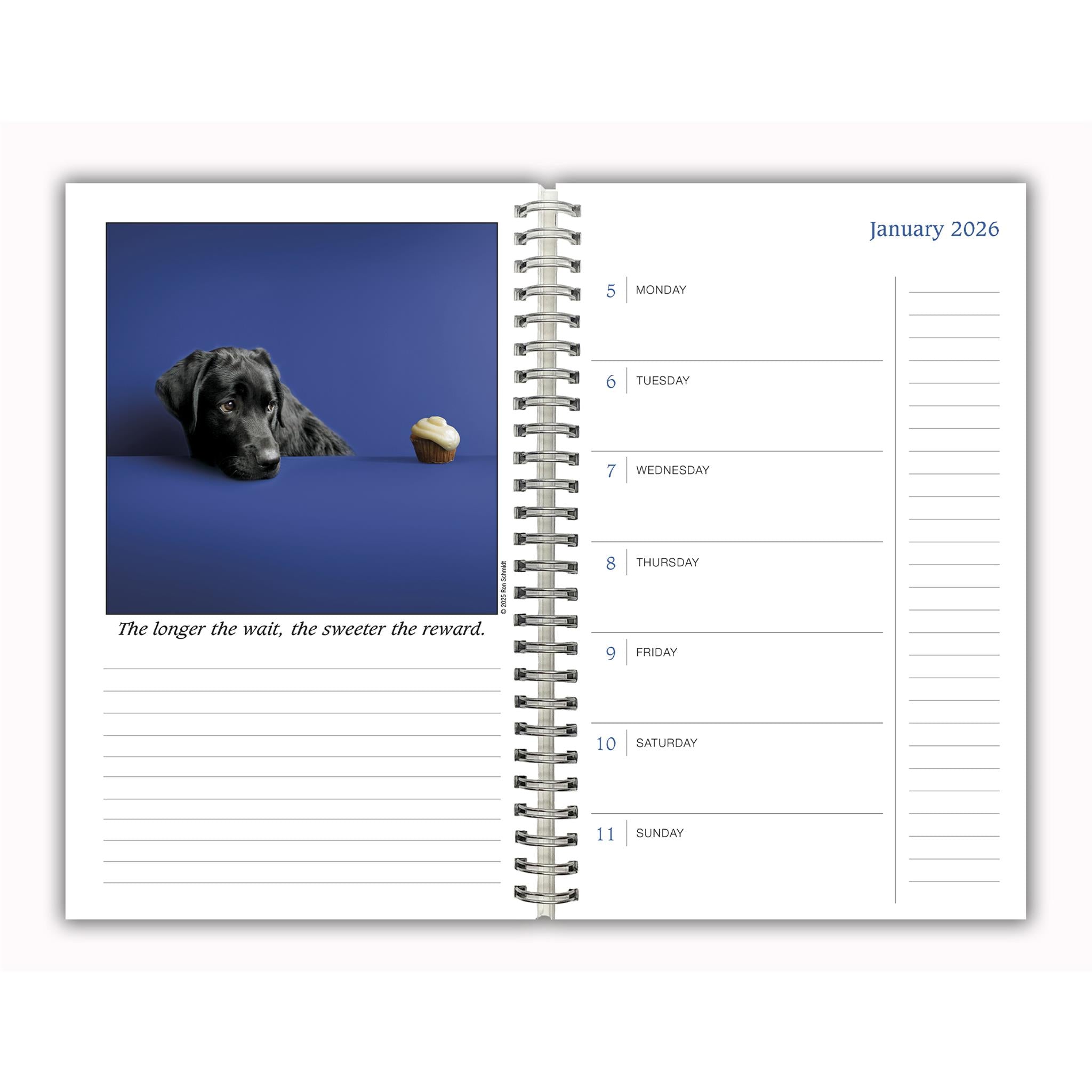 Calendrier des engagements Dogma 2025-2026