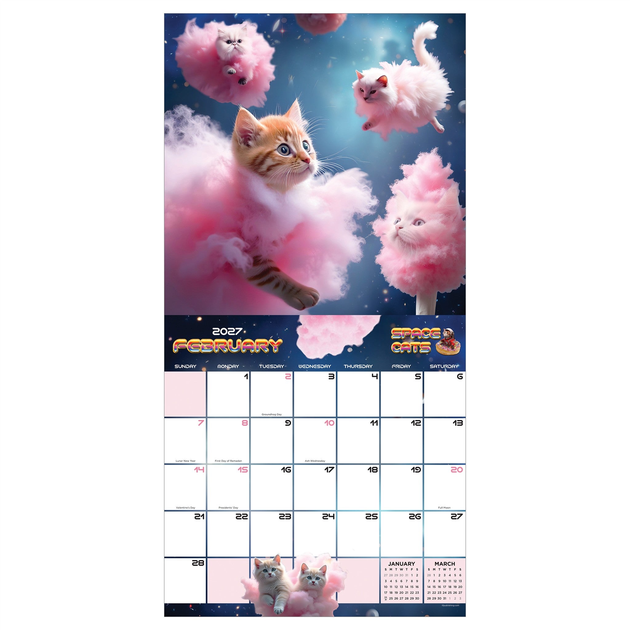 Space Cats 2027 Wall Calendar - Online Only