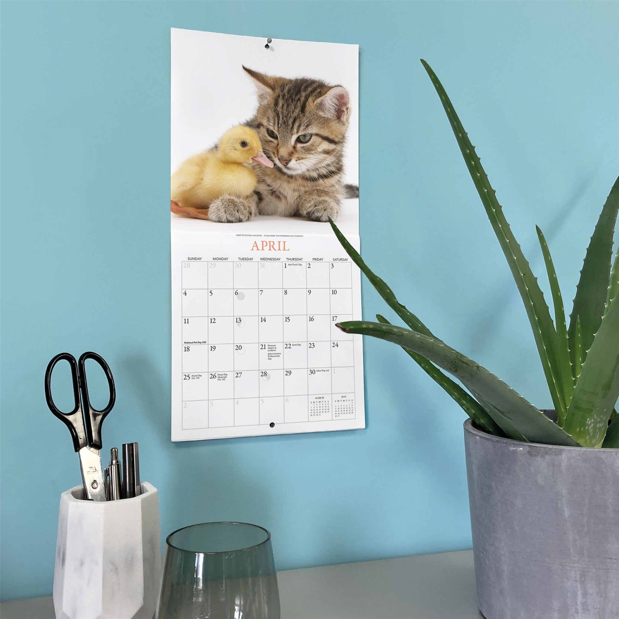 Mini calendrier Chatons et amis 2027