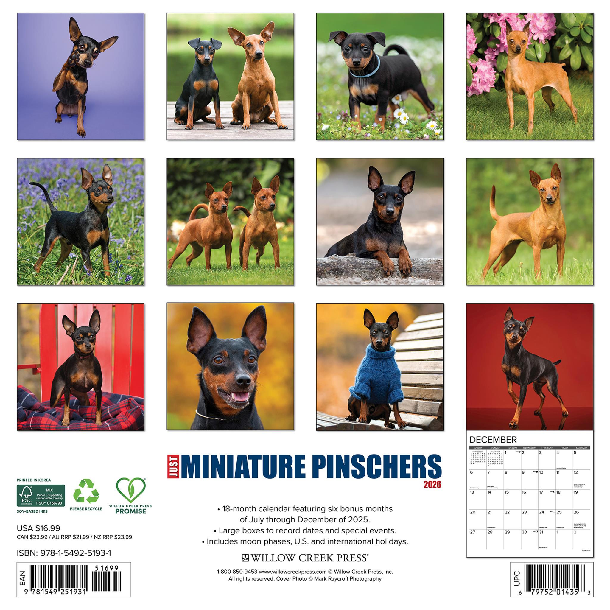 Calendrier mural 2026 « Juste des Pinschers nains » - Disponible uniquement en ligne