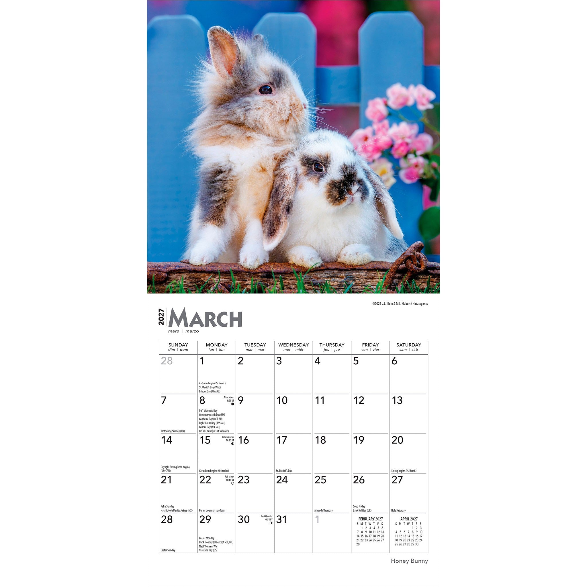Honey Bunny 2027 Mini Calendar